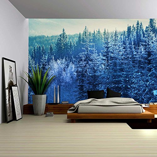 Winter Time Mountain