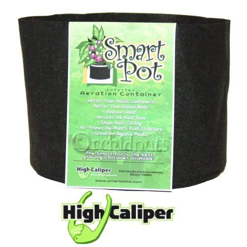 Smart Fabric Plant Pots - 1 Gallon, 10 Pack - Breathable & Durable Grow Bags for Indoor/Outdoor Gardening, Vegetables, Herbs & Flowers