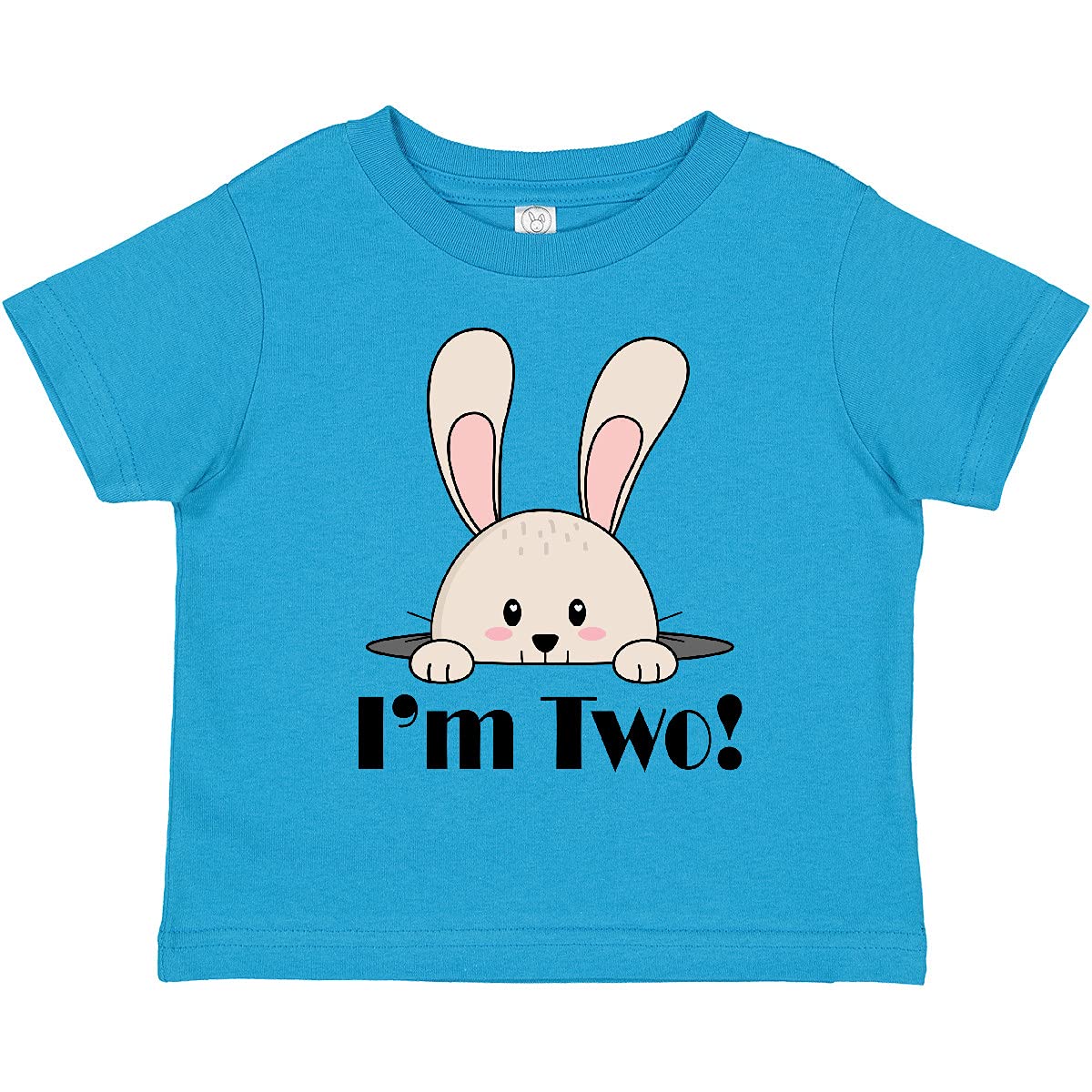 2nd Birthday T-Shirt for 2 Year Old Boys - Cute Toddler Graphic Tee - Perfect for Birthday Parties & Family Photos