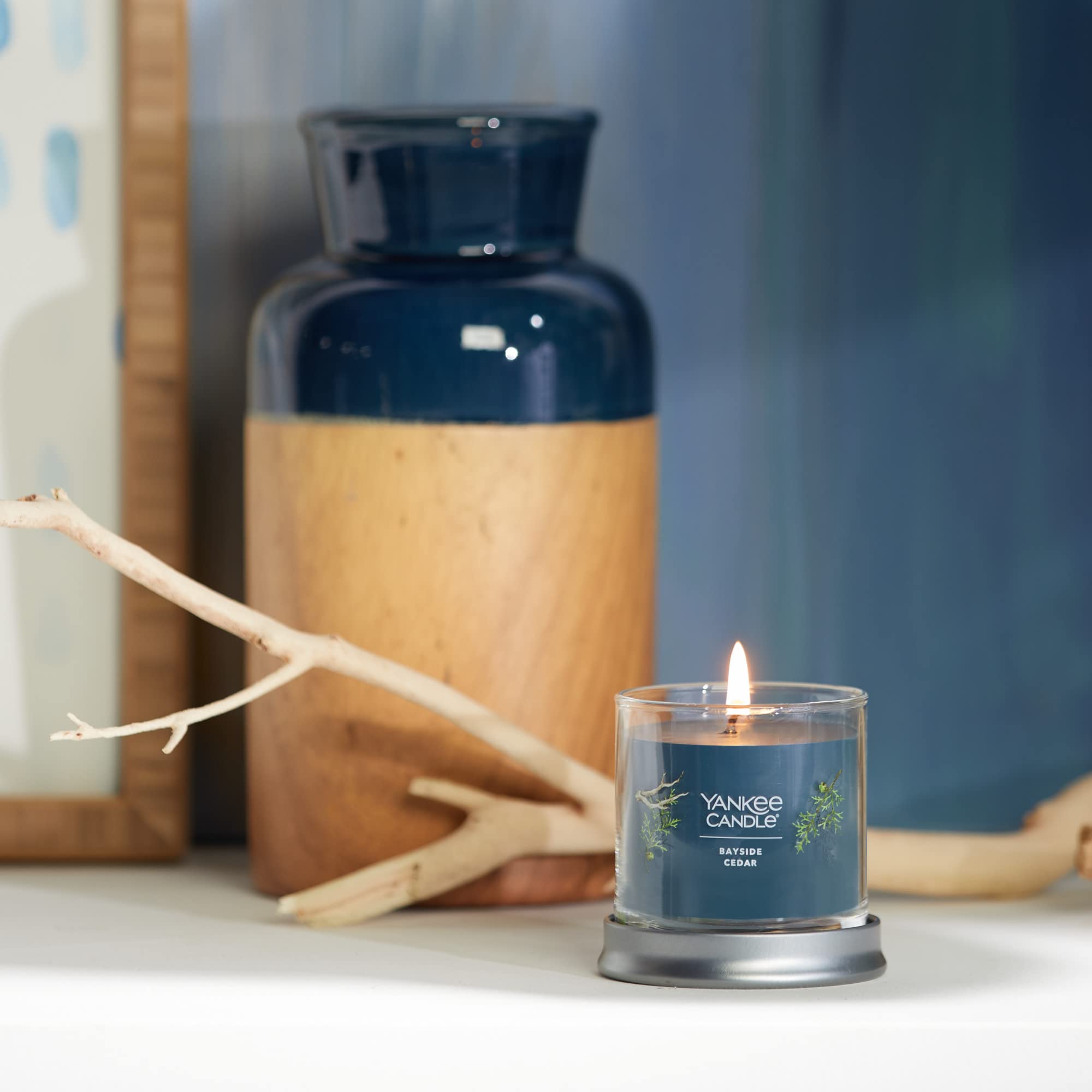 Yankee Candle Bayside Cedar Scented Candle - 4.3oz Small Tumbler with Single Wick, 20+ Hours Burn Time | Home Decor, Relaxation & Aromatherapy for Living Room, Bedroom or Office