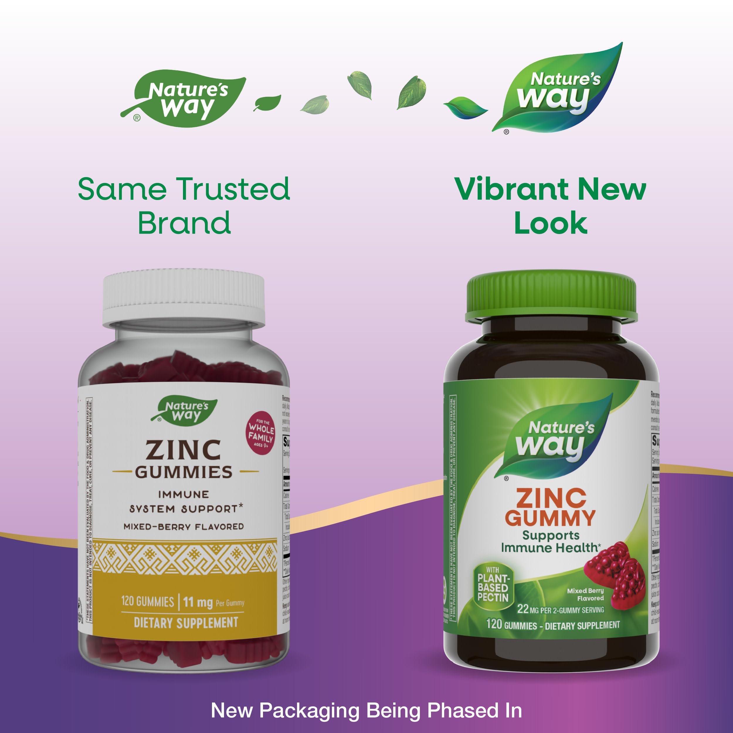 Nature's Way Zinc Gummies for Immune Support - 120 Mixed Berry Flavored Gummies with 100% Daily Zinc Value | Daily Immune Booster for Adults & Kids | Perfect for Cold Season & Year-Round Wellness