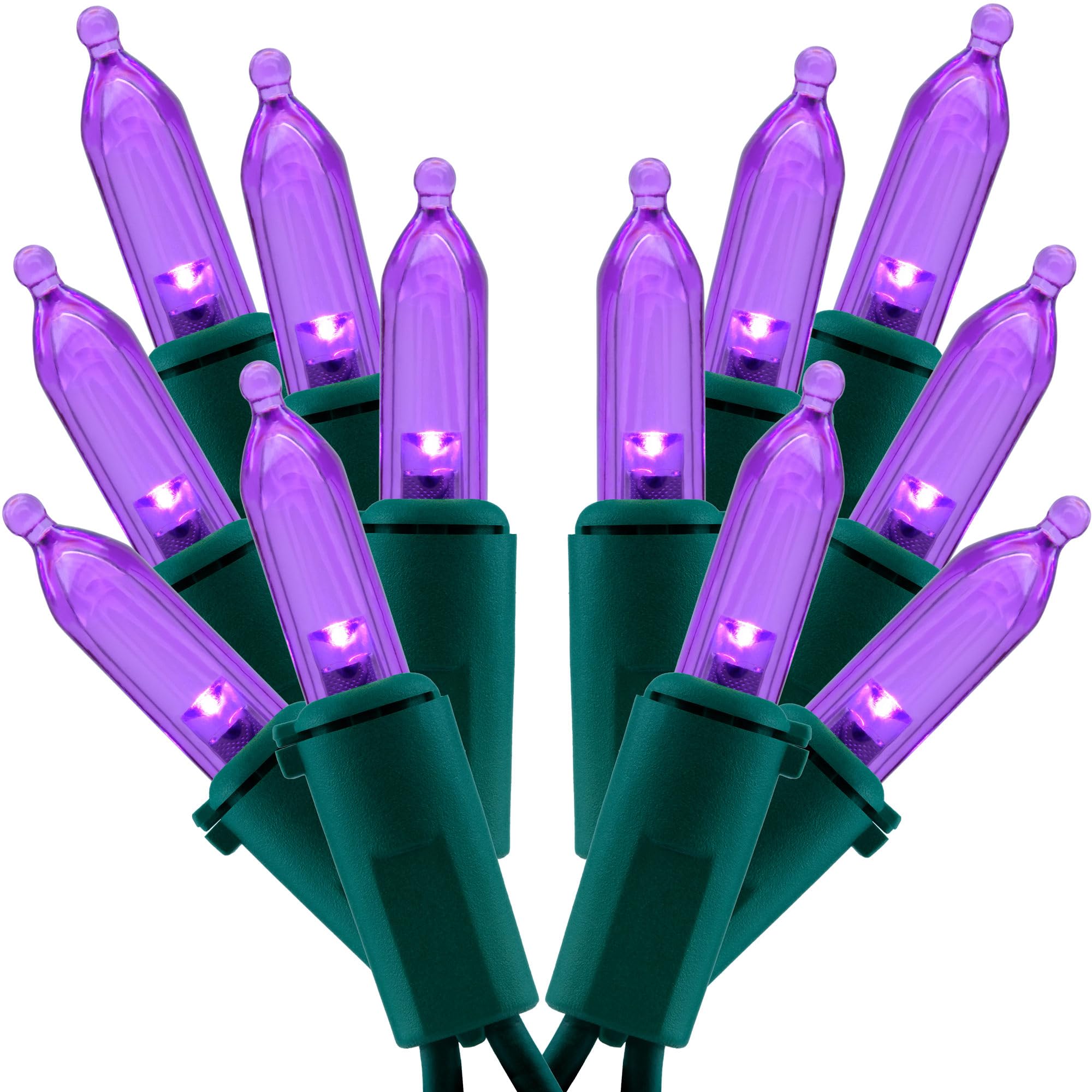 200-Count Purple LED Christmas Lights - 2 Pack of 25ft Mini String Lights with 100 LEDs & Green Wire | Perfect for Holiday Decor, Tree Trimming, and Outdoor Party Lighting