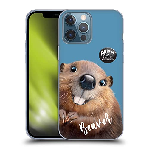 Beaver