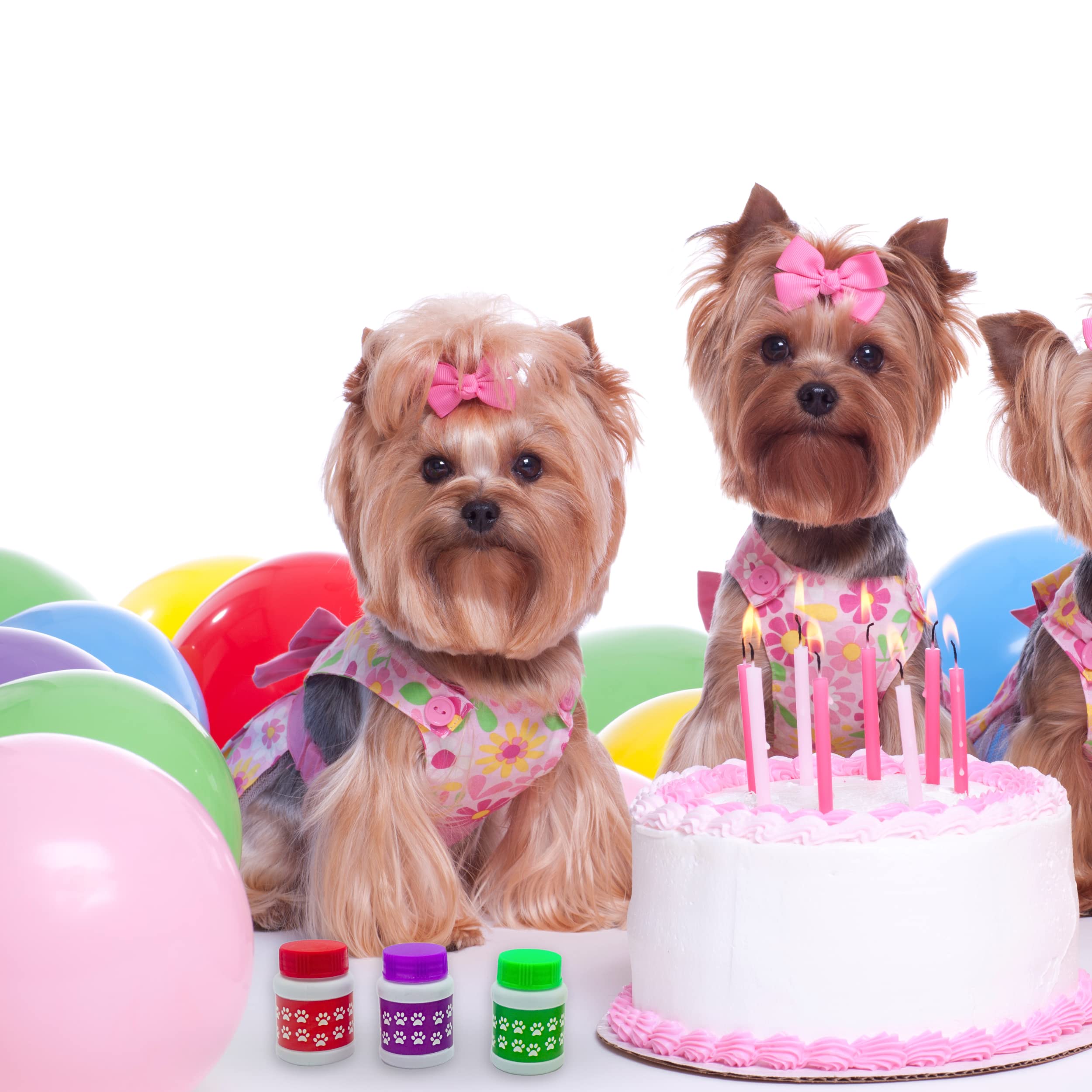 4E's Novelty Paw Print Bubble Bottles - Pack of 24 Mini Bubbles (1 FL oz) - Fun Bubble Wand Blowing Toys for Kids, Boys & Girls - Perfect for Dog Themed Parties, Birthday Favors, Outdoor Play & Summer Activities