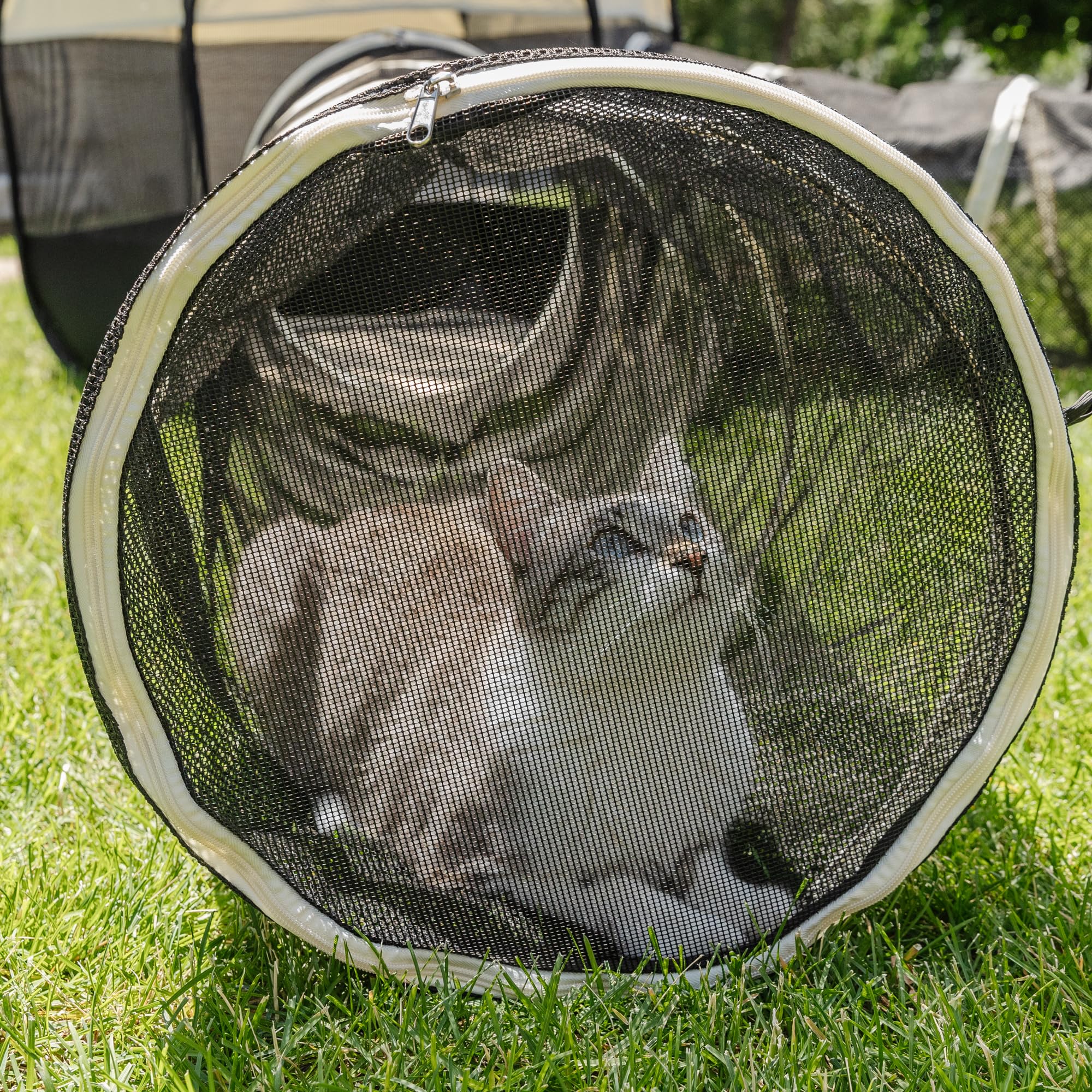 **Large Indoor-Outdoor Cat Playpen Enclosure – Durable Cat Tents & Tunnels for Cats, Dogs, Kittens, Puppies, Ferrets & Small Pets – Portable Catio, Condo & Play Area – Perfect for Home, Backyard & Travel**