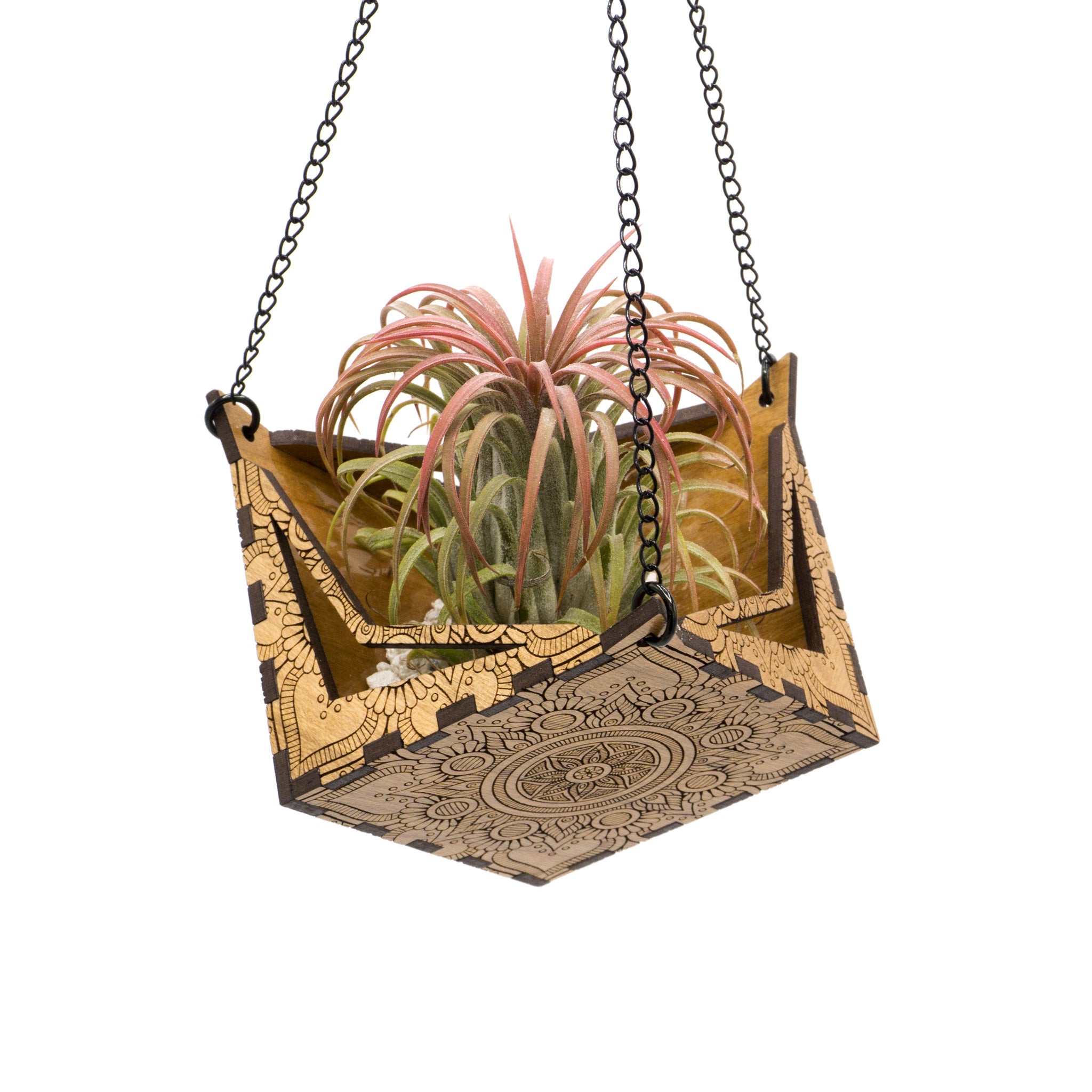 Hemicube Free Hanging Planter - Air Plant Holder | Handmade Wooden Home Decor for Plant Lovers | Unique Wall Display for Living Rooms, Offices & Gifts | Modern Boho Indoor Gardening Decor