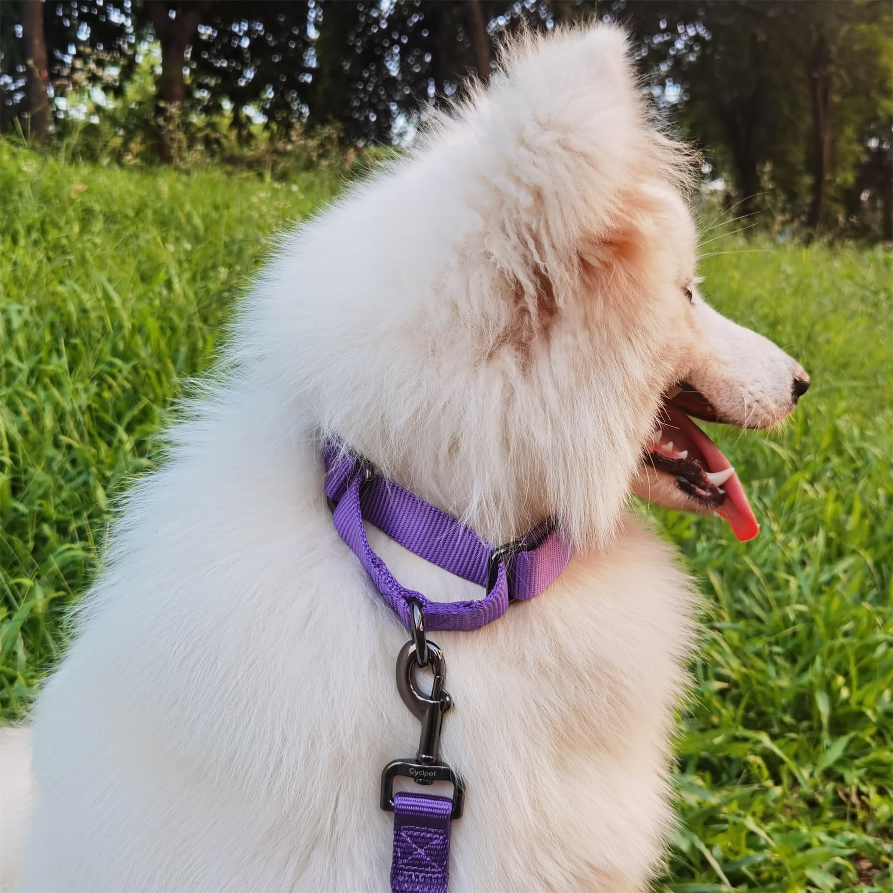 Premium Nylon Adjustable Anti-Escape Martingale Dog Collar - Soft & Durable Training Collar with Heavy Duty D-Ring for Large Active Dogs - Perfect for Walking, Hiking & Outdoor Adventures (Ultra Violet, Large)