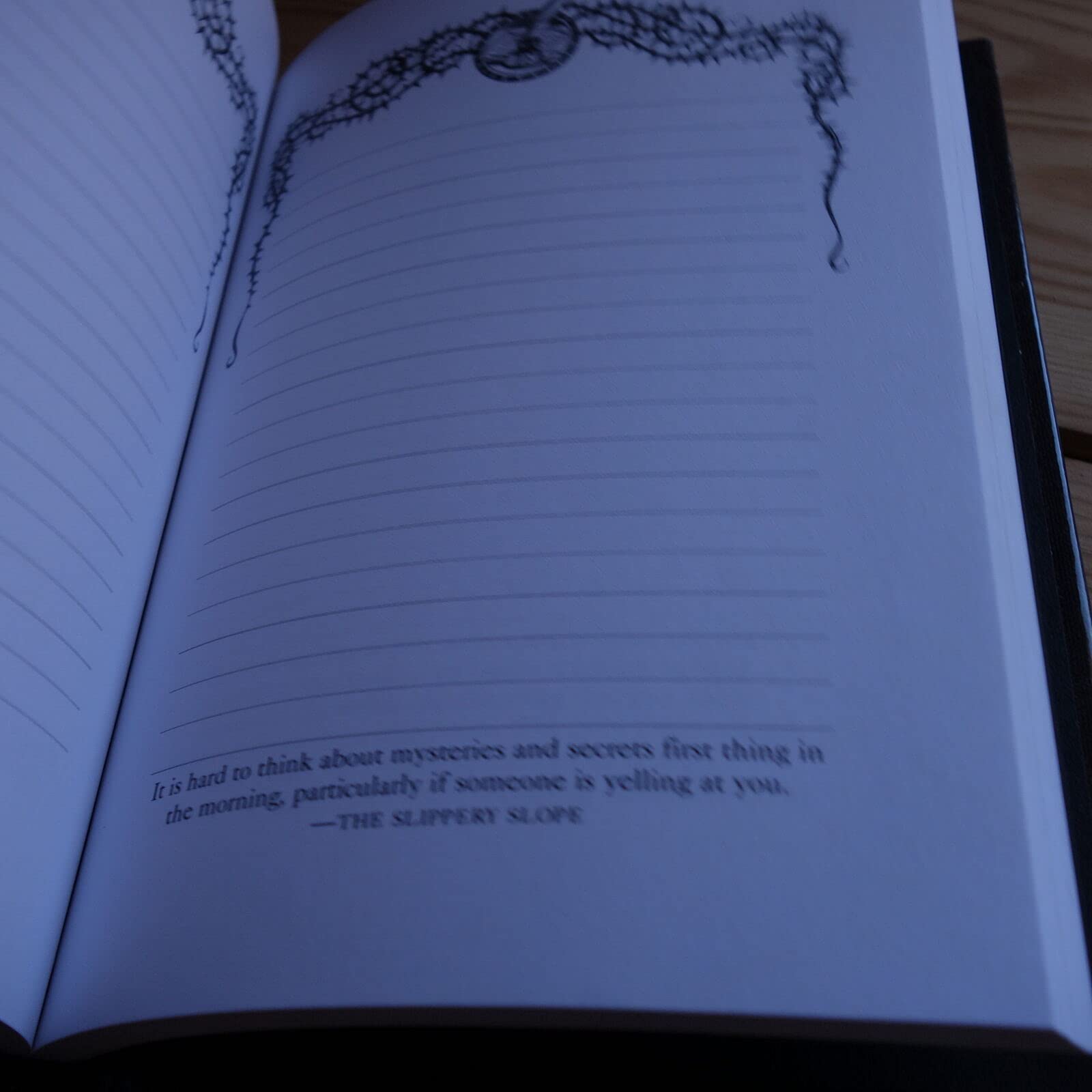 The Blank Book - A Series of Unfortunate Events Inspired Journal for Writing & Sketching | Perfect for Fans, Creative Writing & Note Taking