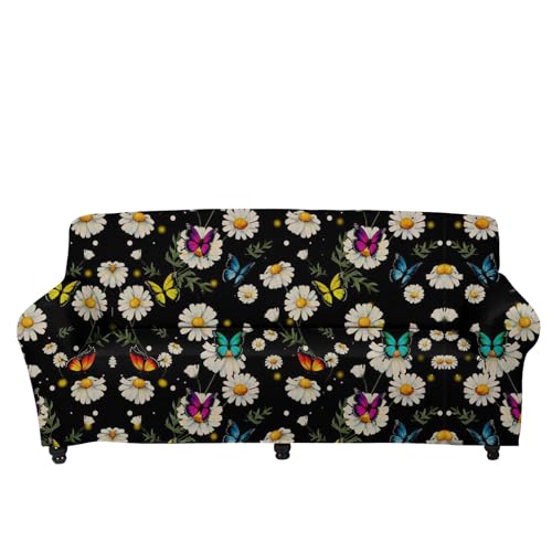 Daisy Butterfly