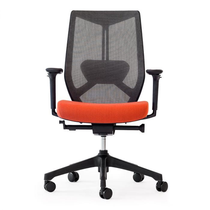 Friant Ignite Mesh Task Chair FD00253 - Ergonomic Office Chair with Adjustable Height & Lumbar Support for Home & Office Workspaces
