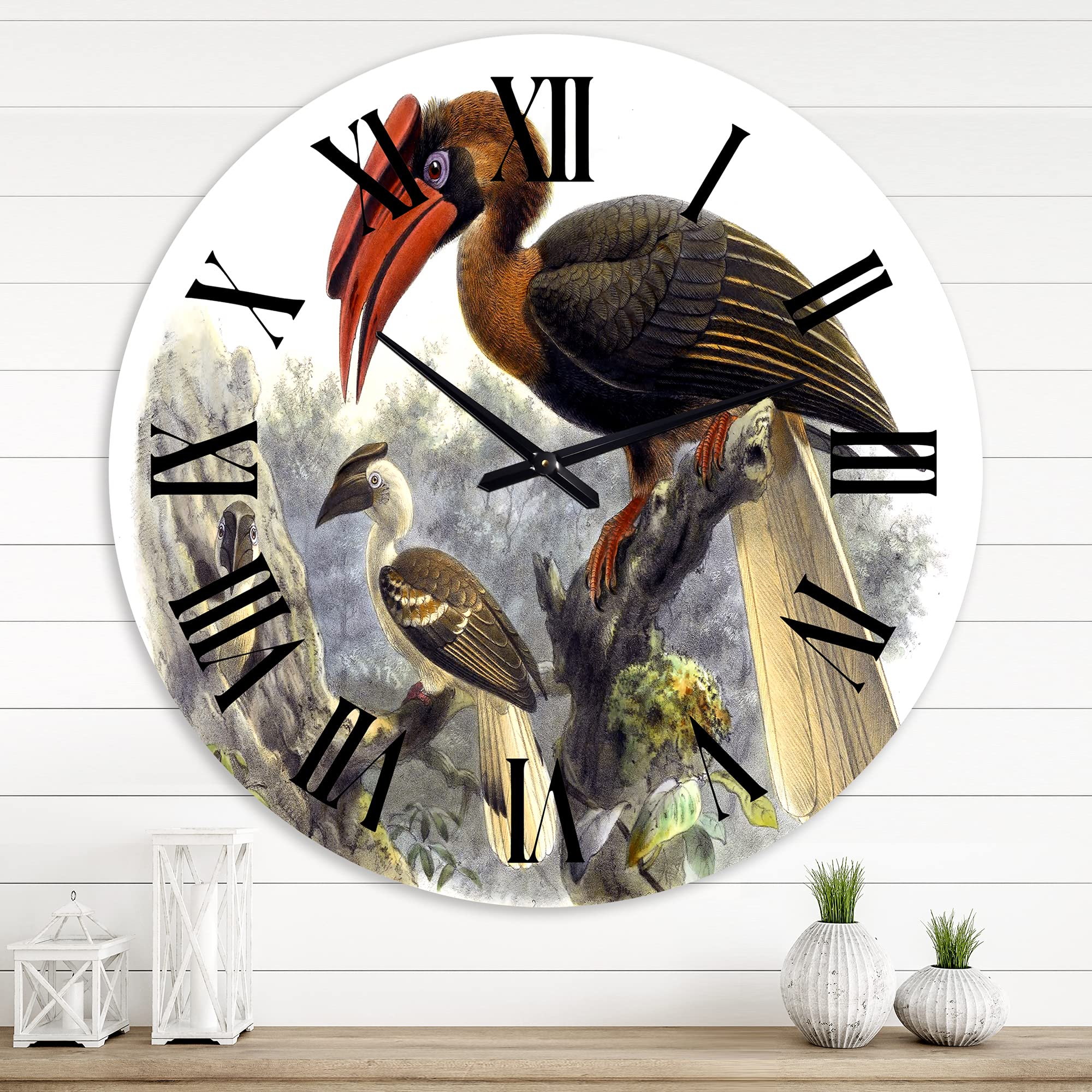 Vintage Australian Birds XI - Large Traditional Wall Clock for Home & Office Decor | Nature-Inspired Landscape Design | Perfect for Living Room, Bedroom, or Study