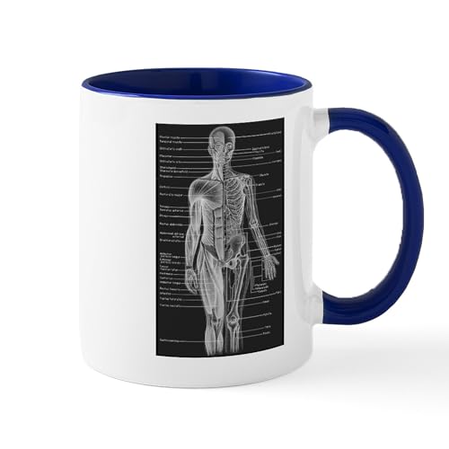 White/Navy Inside - Human Anatomy Chart Mug