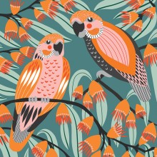 Kirsten Katz Greeting Cards - Colorful Parrots & Gumnuts Design - Perfect for Birthdays, Thank You Notes & Special Occasions