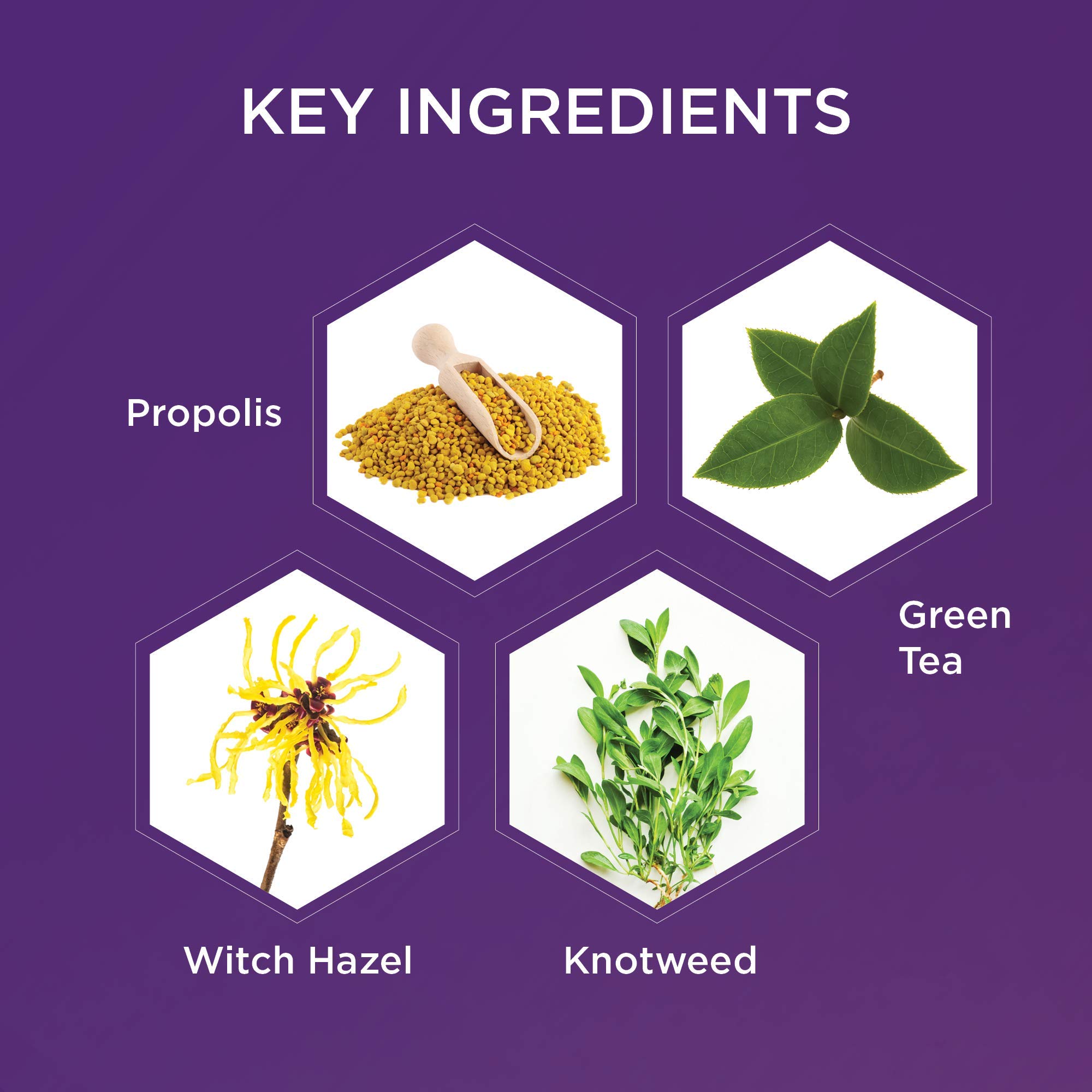 Healing Ointment for Burns & Skin Irritation - Organic Honey & Propolis - 99% Natural - Soothes Dry Skin Fast