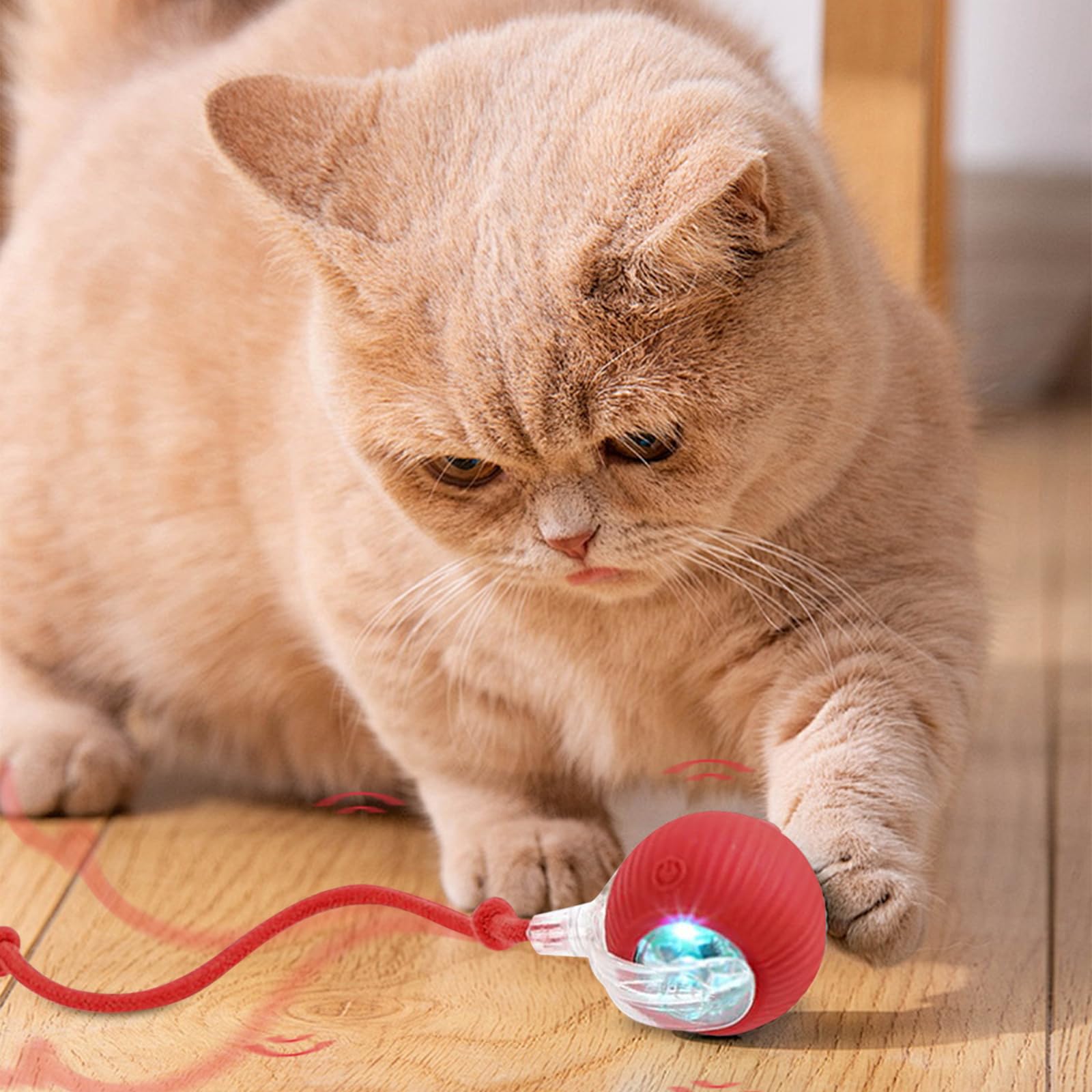 Interactive Cat Toy - Electric Cat Ball & Dog Ball for Bored Indoor Cats - Automatic Rolling Pet Toy with LED Lights - Perfect for Playtime, Exercise & Mental Stimulation for Indoor Cats & Small Dogs