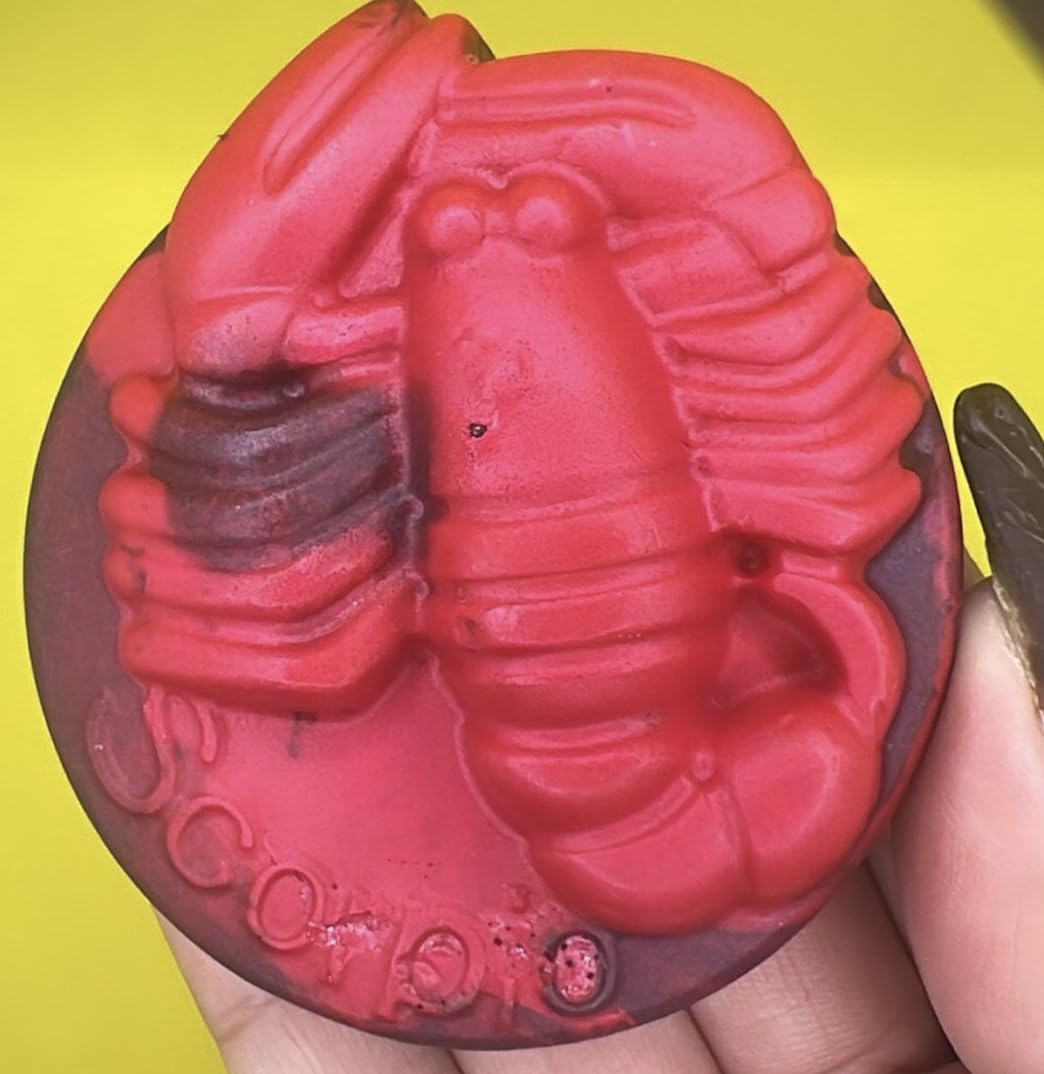 Scorpio Zodiac Soap with Crystal Gemstone, Vegan Bar Soap in Red and Black, Love Spell Scented Horoscope Gift for Astrology Enthusiasts, Perfect for Meditation and Self-Care Rituals
