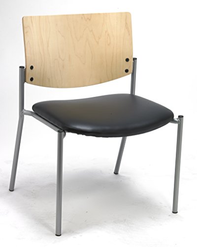 Black Anti-bacterial Vinyl
