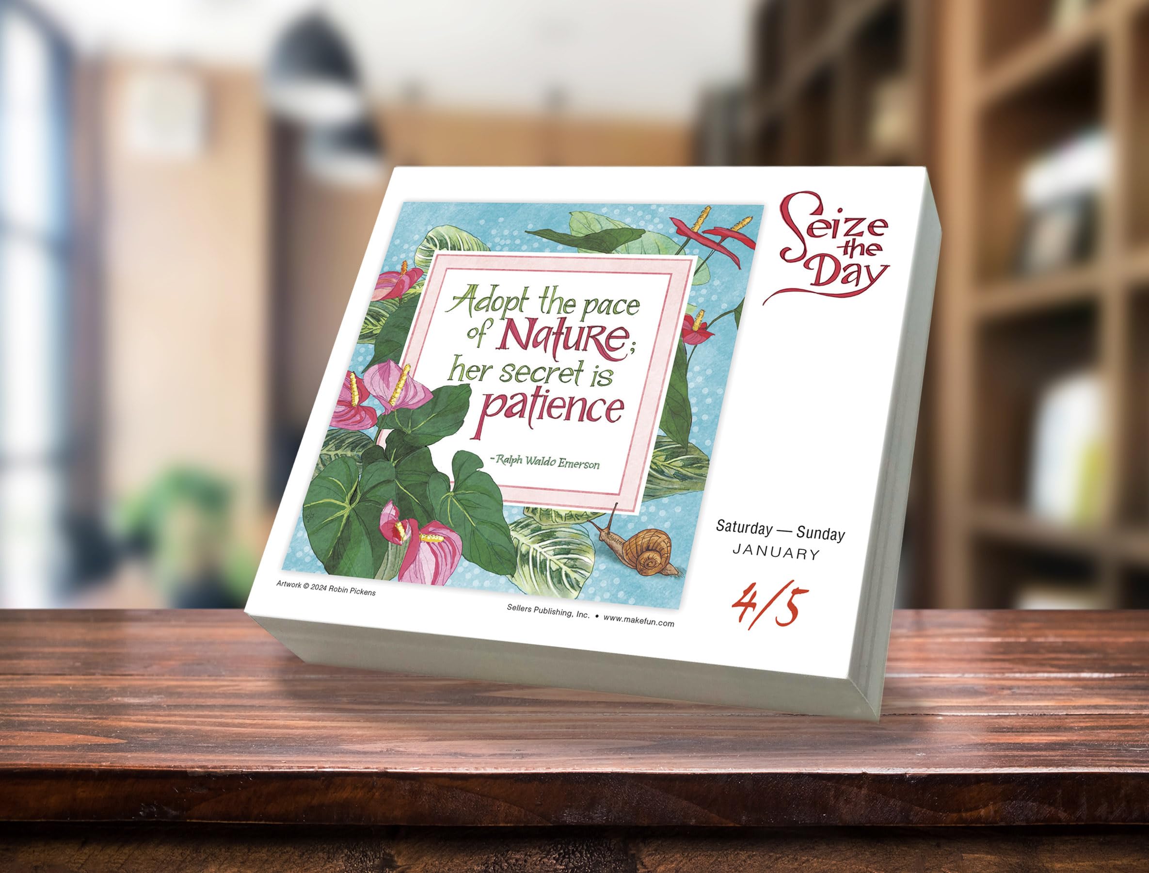 Seize the Day 2025 Boxed Daily Desk Calendar by Robin Pickens - Inspirational Planner for Office, Home & Gift Giving | Perfect for Goal Setting, Productivity & Daily Motivation