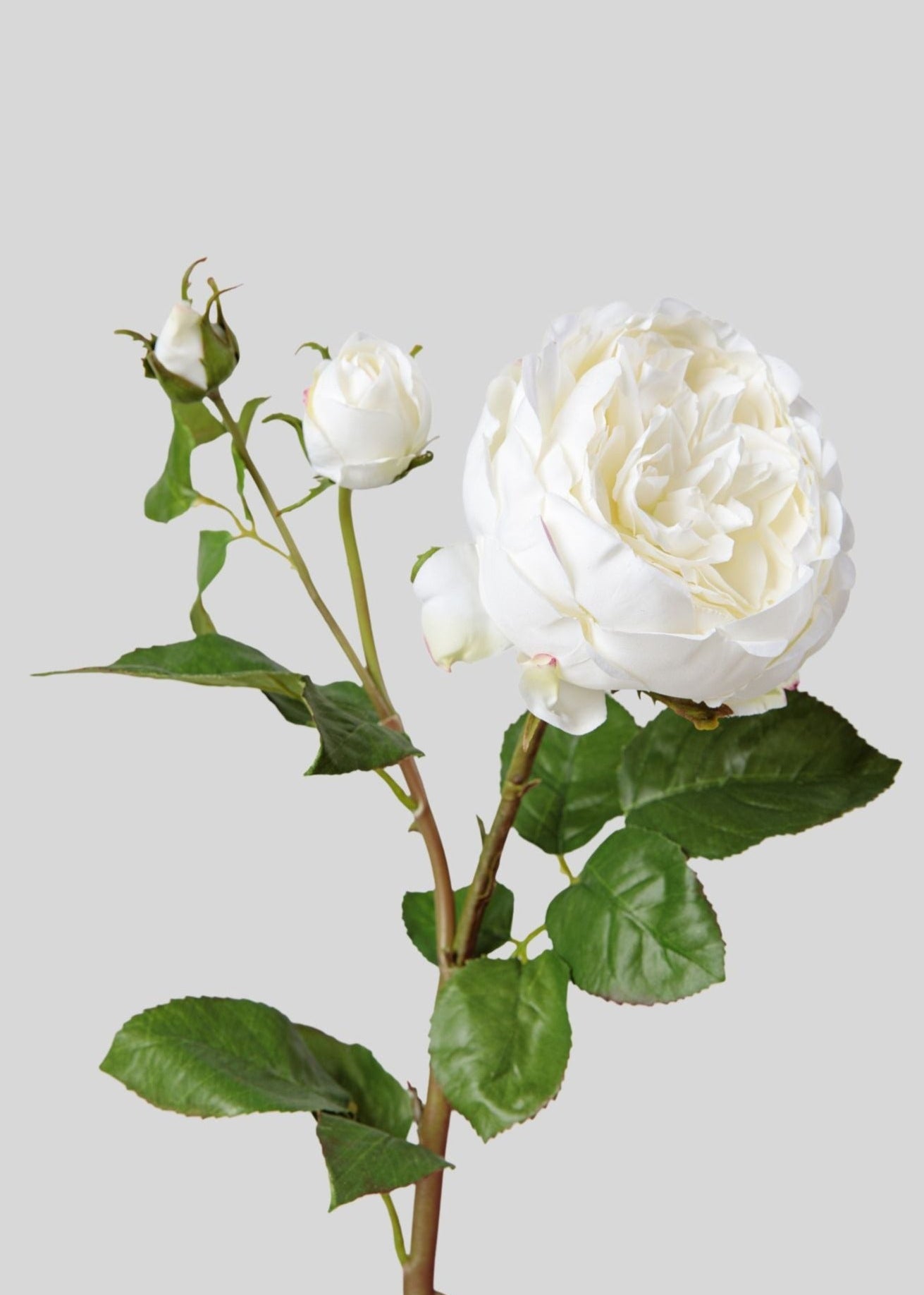 Real Touch Artificial English Rose with Buds - 21 Pack, Lifelike Fake Flowers for Home Decor, Wedding Centerpieces, and Floral Arrangements