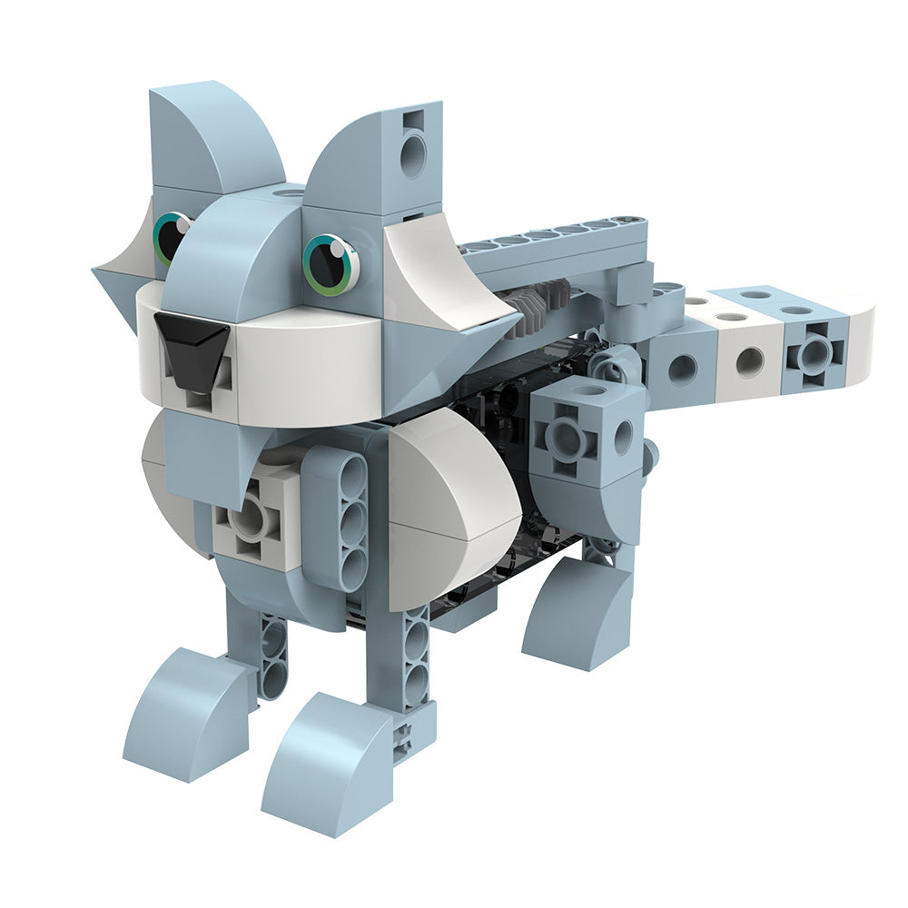 Robot Safari STEM Toy for Kids - Motorized Machines Learning Kit | Educational Science Experiment for Classroom & Home Play
