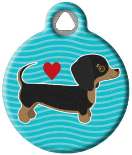 Dachshund Pup Love