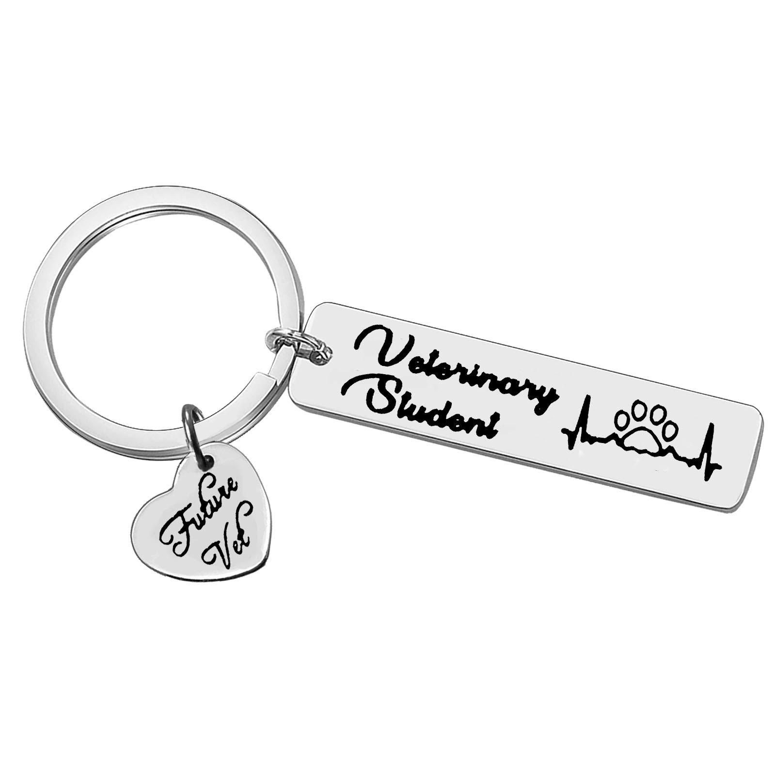 Veterinarian Appreciation Keychain - Vet Tech Gifts for Animal Rescue Workers, Veterinary Graduation Present - Perfect for Clinics, Hospitals & Pet Lovers