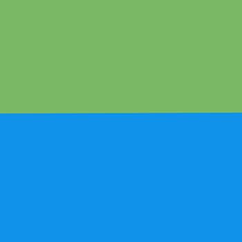 Green/Electric Blue