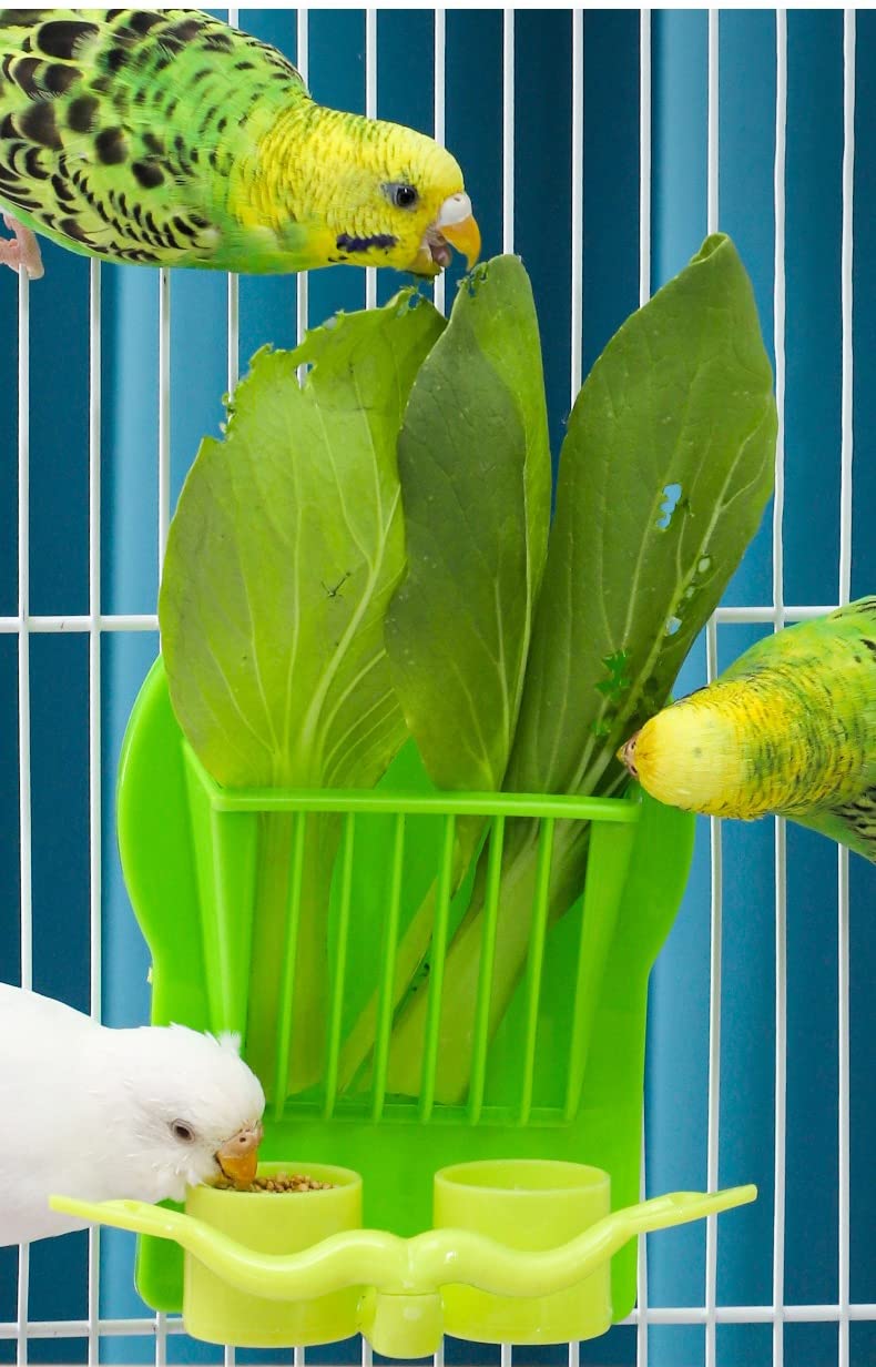 Premium Hanging Bird Feeder for Parrots - Durable Cage Fruit & Vegetable Holder - Pet Food Dispenser for Birds - Perfect for Cages, Aviaries & Bird Play Areas