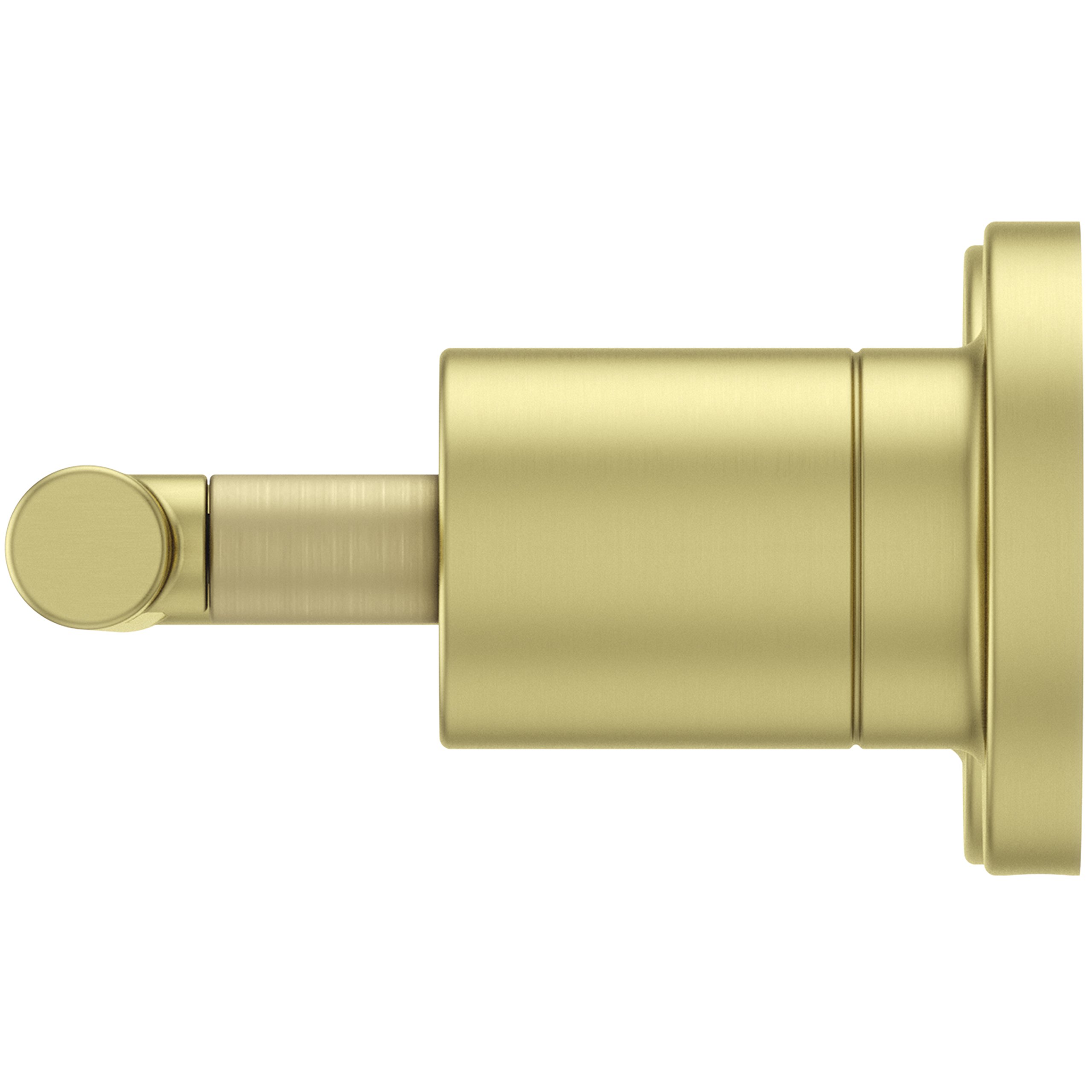 Pfister Contempra Wall-Mounted Toilet Paper Holder - Brushed Gold Finish Bathroom Tissue Roll Holder with Screw-In Installation (BPHNC1BG) - Perfect for Modern Bathrooms, Powder Rooms & Guest Baths