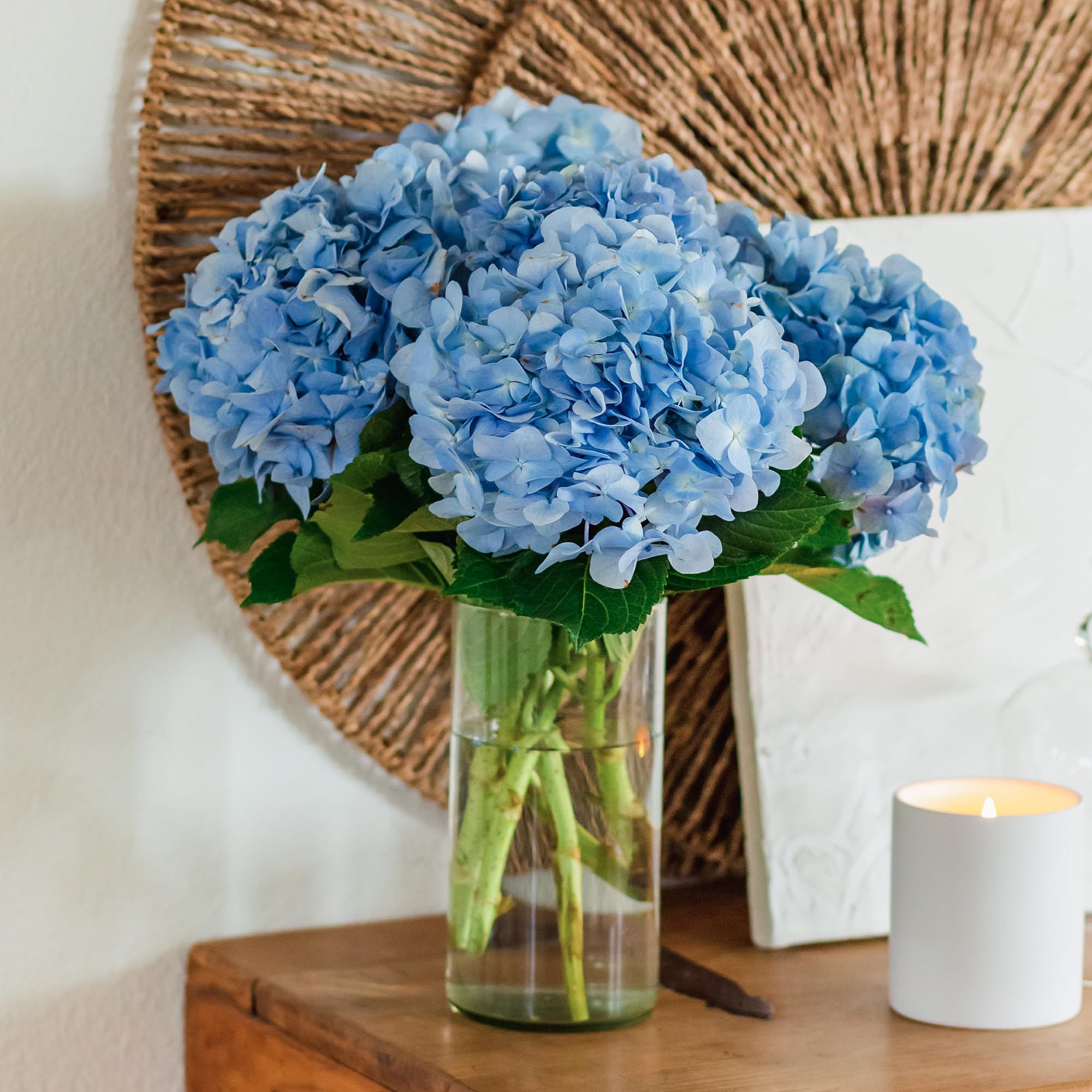 BloomsyBox Farm-Fresh Blue Hydrangea Bouquet with Care Card & Flower Food - Perfect for Birthday, Anniversary & Wedding Flower Delivery | Fresh Cut Flowers for Home Decor, Gift Giving & Special Occasions