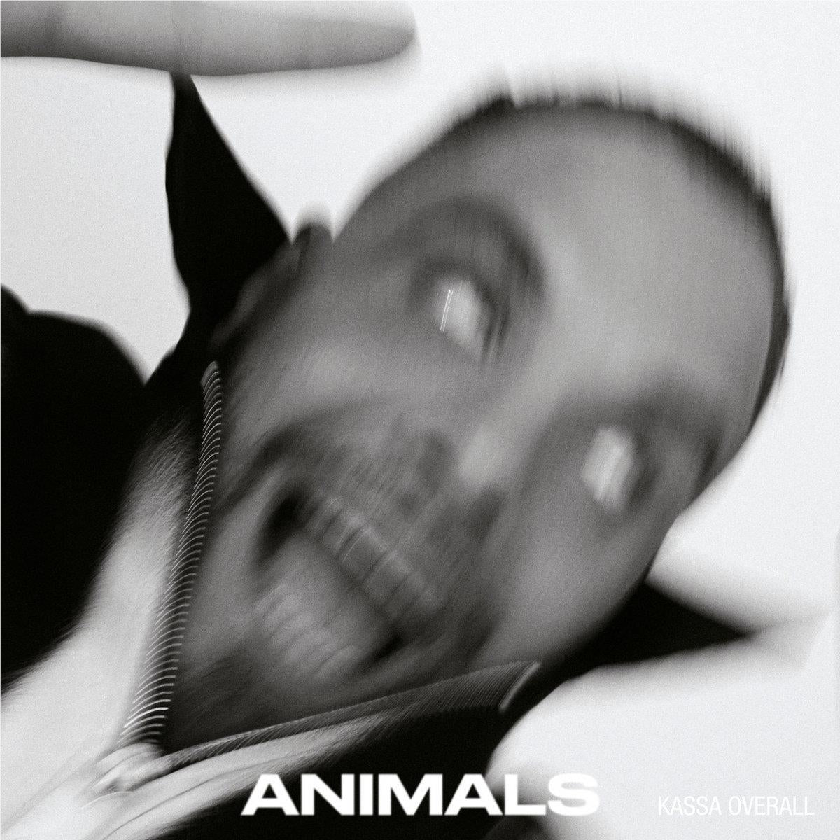 Animals CD for Kids - Fun and Educational Music for Toddlers & Preschoolers - Perfect for Playtime, Learning & Car Rides