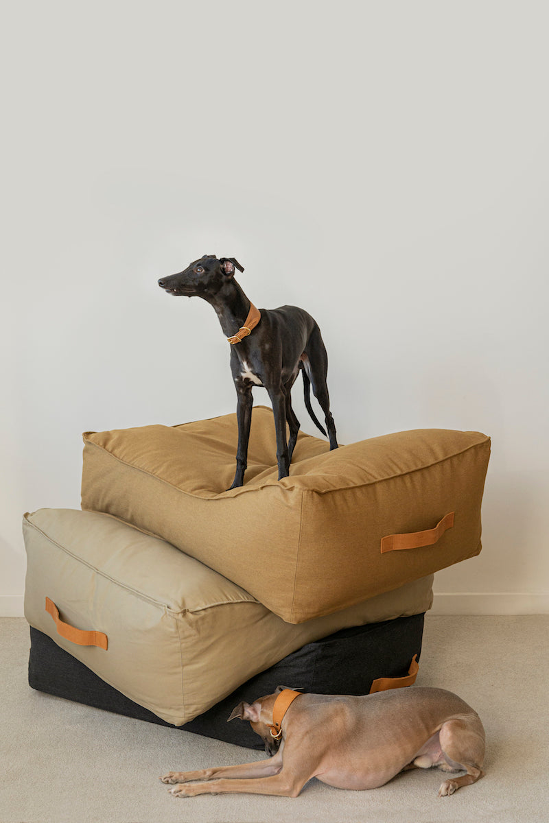 Premium Orthopedic Dog Bed for Large Dogs - Pony Trampliny Ochre - Comfortable & Supportive Pet Bed for Joint Pain Relief - Perfect for Home, Crate, or Travel Use