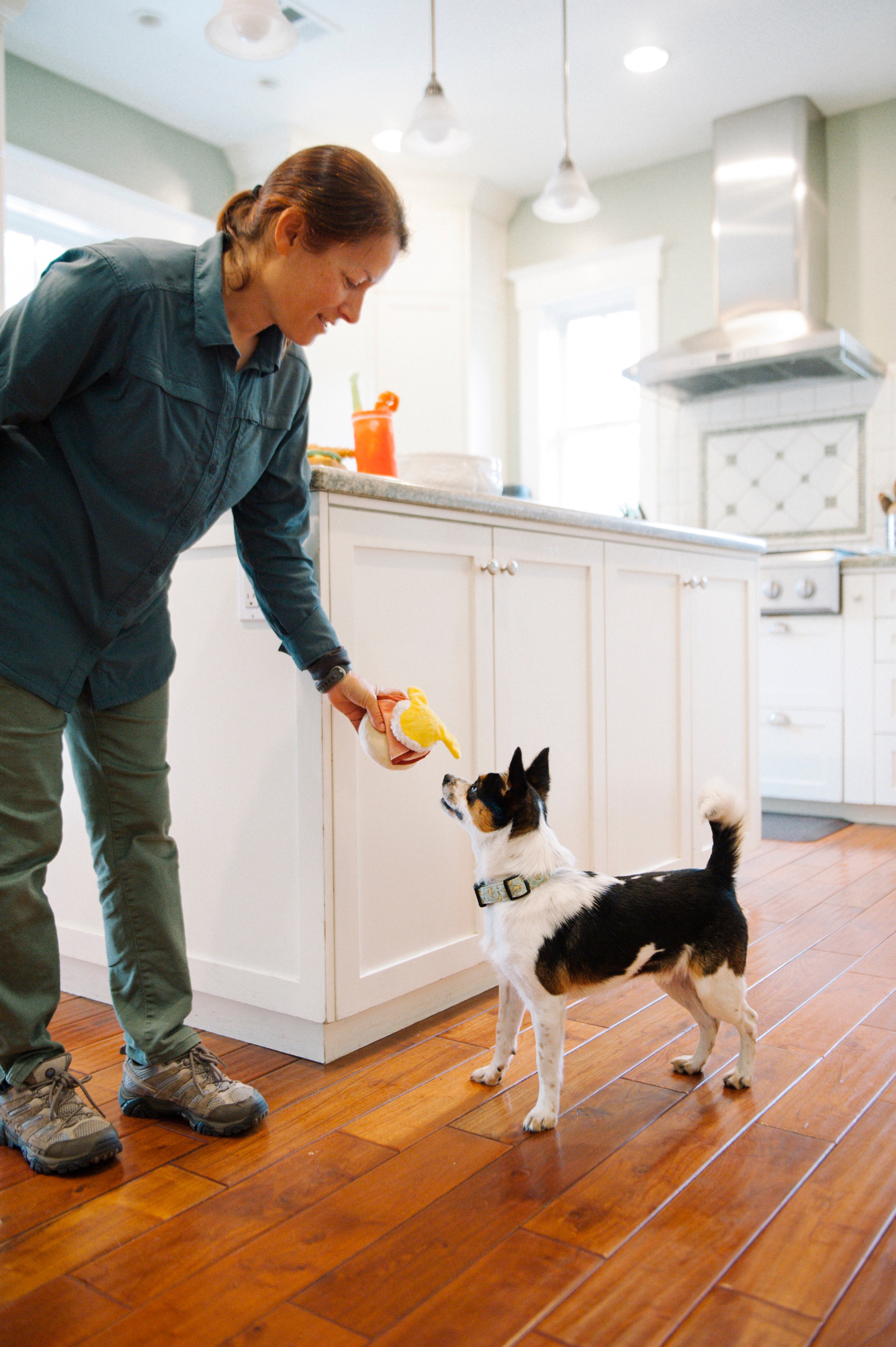 El Egg Benedict Plush Dog Toy - Barking Brunch™ Collection by Pet P.L.A.Y. | Soft & Durable Chew Toy for Small & Medium Dogs | Perfect for Playtime, Training & Cuddling