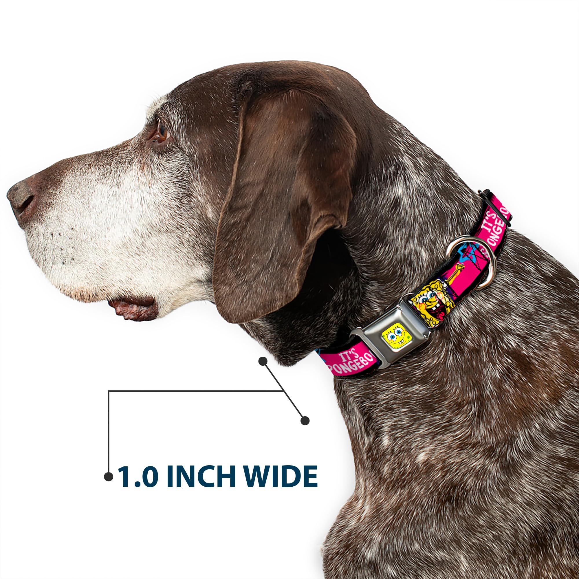 Spongebob Dog Collar with Seatbelt Buckle - 1.5 Inch Wide Adjustable Pet Collar (13-18 Inches) in Black, Pink, Blue & White - Perfect for Walking, Training & Car Safety