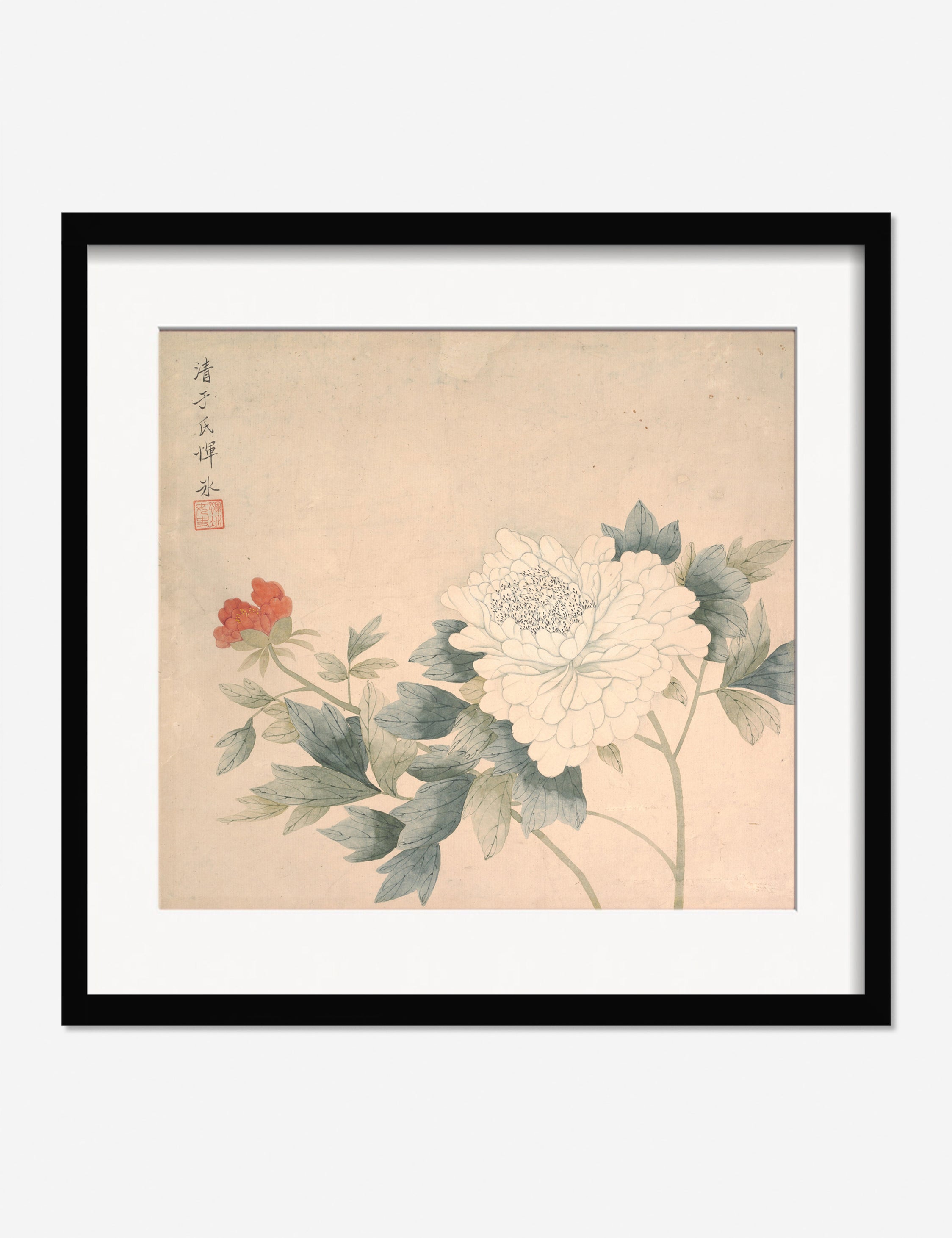 Flower Study 2 Print by Yun Bing - Botanical Wall Art Decor for Living Room, Bedroom & Office - Perfect Floral Painting for Home Decor & Gifts