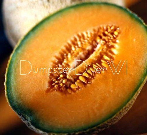 Organic Non-GMO Seeds Imperial 45 Cantaloupe - 25 Sweet Juicy Melon Seeds for High Yield Gardening | Perfect for Home Gardens, Farmers Markets & Organic Farming