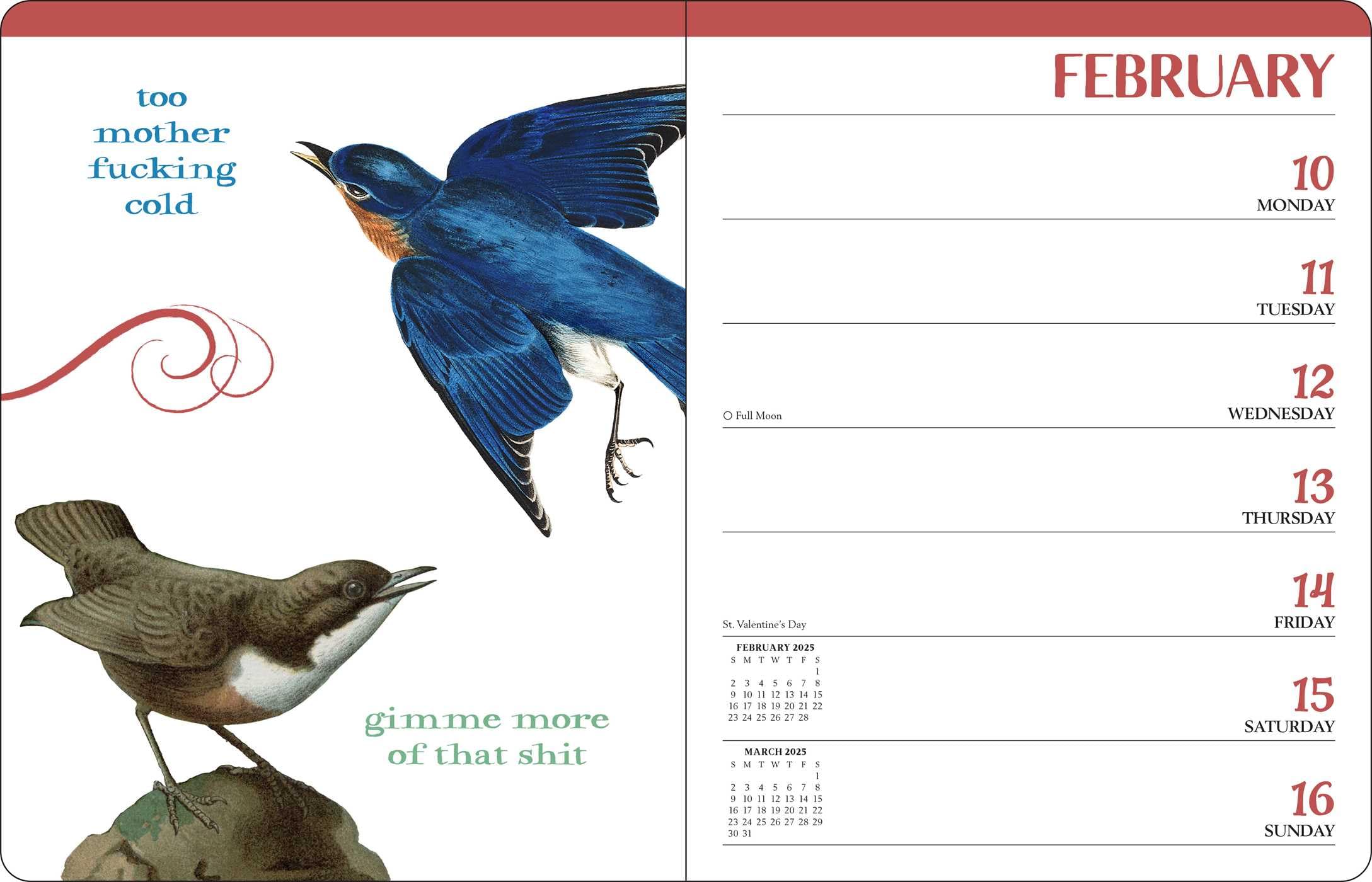 Effin' Birds 2025 Monthly Weekly Planner Calendar - 12-Month Organizer with Funny Bird Illustrations for Office, School & Home Use
