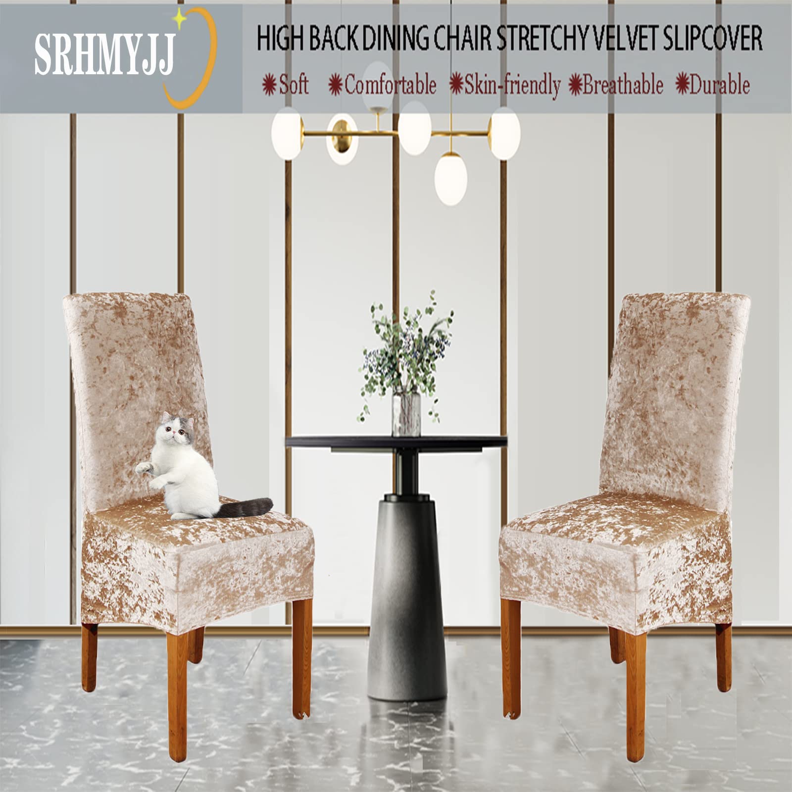 Luxury Crushed Velvet XL Dining Chair Covers - Stretchable Elastic Slipcovers for Chairs - Protective Seat Covers for Wedding, Banquet, Party & Home Decor - Champagne (Set of 4) | Perfect for Formal Dinners, Holiday Gatherings & Event Decorations