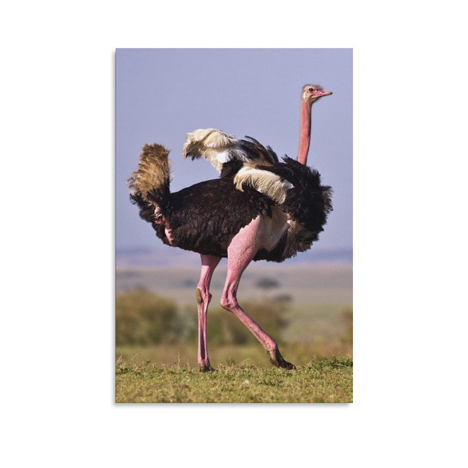 Running Ostrich Canvas Wall Art Print - 12x18 inches (30x45cm) African Wildlife Landscape Painting for Home & Office Decor - Perfect for Living Room, Bedroom, Gym or Sports Themed Spaces