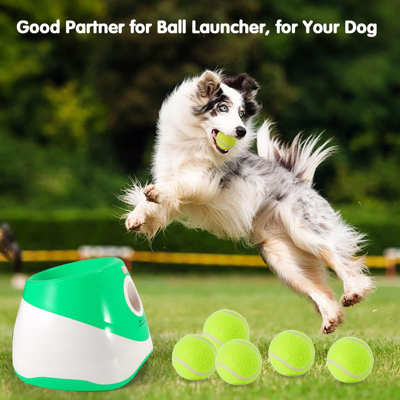 12 Pack Mini Tennis Balls for Small Dogs - 2 Inch Pet Training Balls for Fetch & Interactive Play - Fits Automatic Ball Launchers - Perfect for Indoor/Outdoor Playtime, Dog Training & Exercise