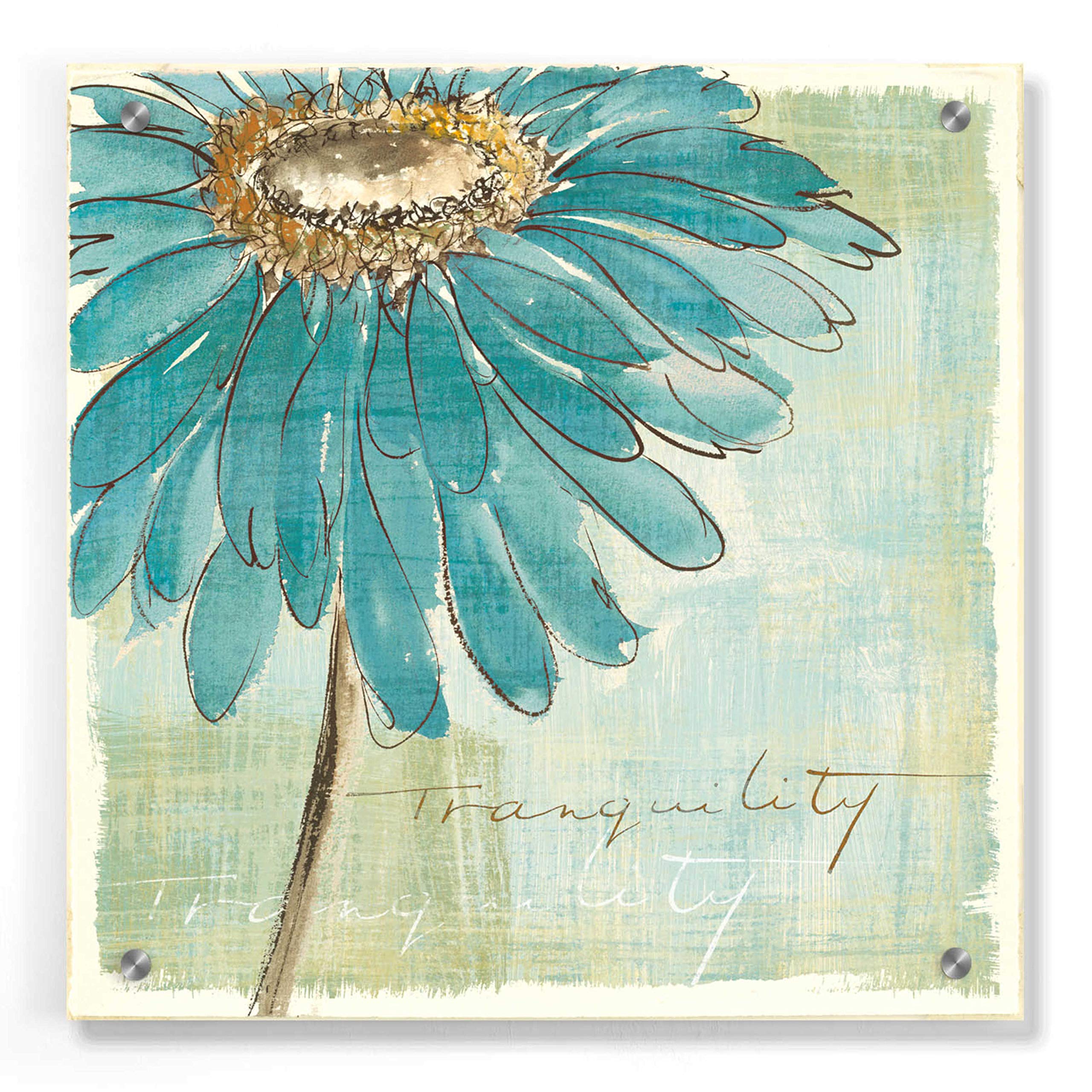Chris Paschke 'Spa Daisies III' Acrylic Glass Wall Art - 36x36 Inches Modern Floral Painting for Living Room, Bedroom & Office Decor