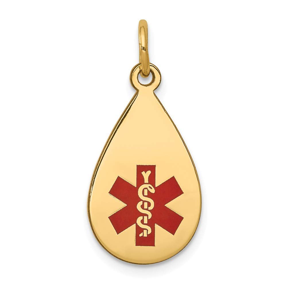 14K Yellow Gold Medical Alert Jewelry Pendant by Roy Rose - Perfect for Everyday Wear & Emergency ID