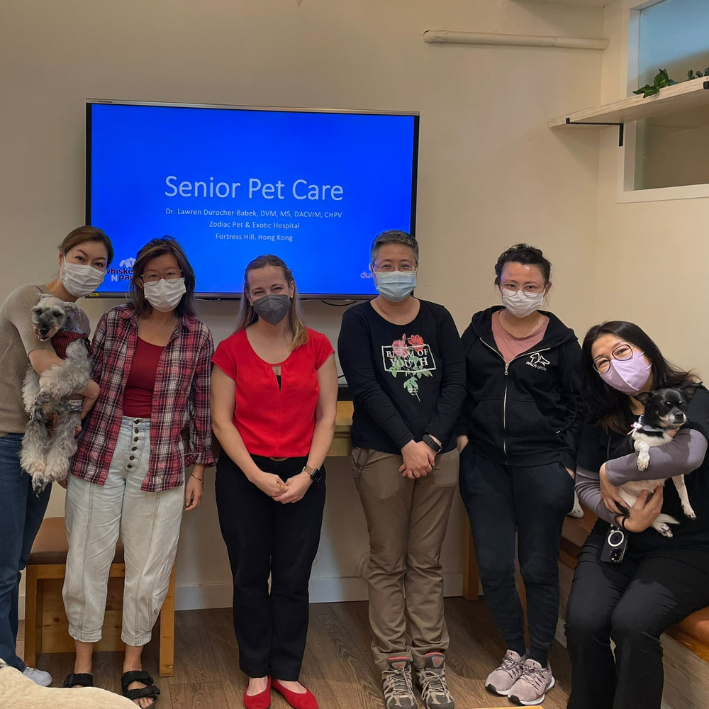 Senior Pet Care Course by Dr. Lawren - Expert Guide for Aging Dogs & Cats | Learn Nutrition, Health & Comfort Tips for Older Pets at Home
