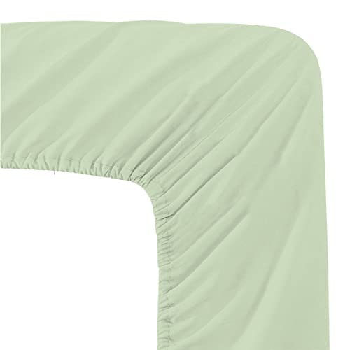 Pastel Green