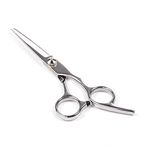 Professional Hair Cutting Scissors for Men & Women - Sharp Stainless Steel Barber Shears for Precision Styling & Trimming (Silver) - Perfect for Home Haircuts, Salon Use & DIY Hairstyling