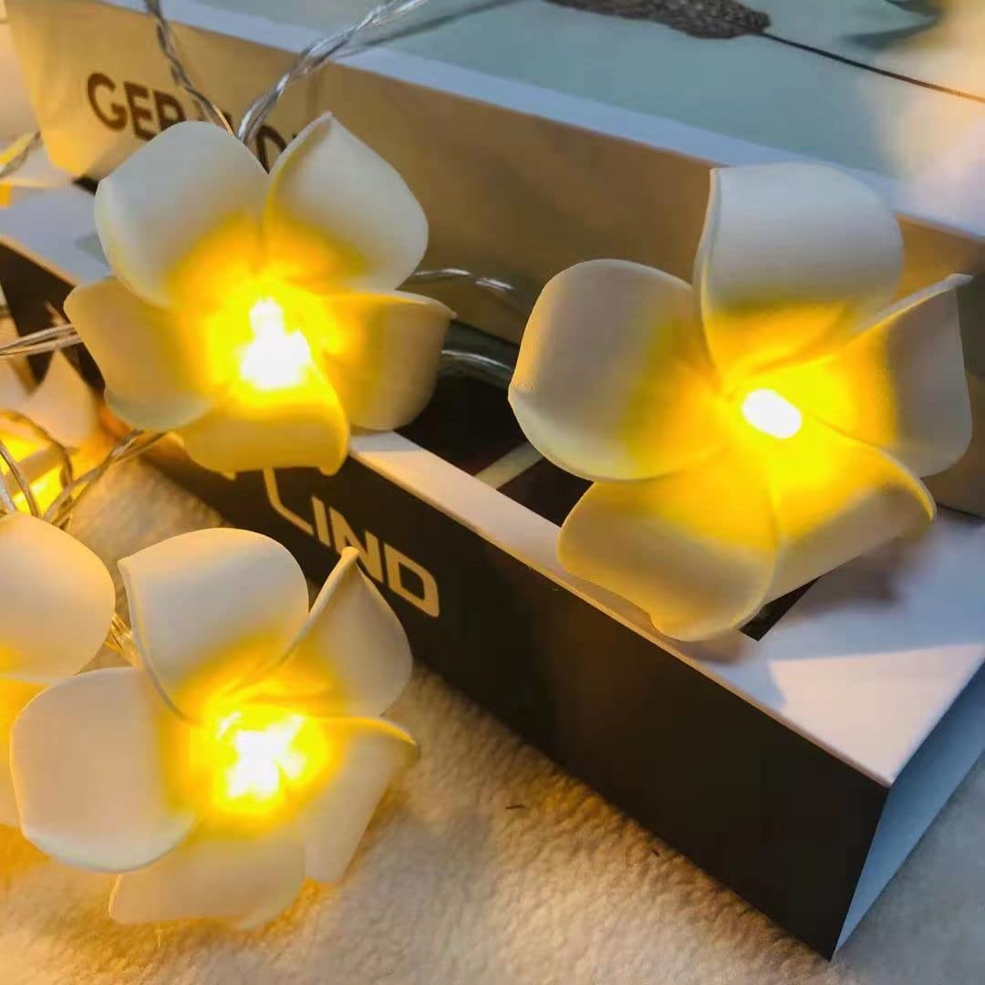 Battery Powered Artificial Plumeria String Lights - 40LED White Frangipani Flower Garland for Wedding, Beach Party, Garden & Patio Decor - Waterproof Fairy Lights for Outdoor & Indoor Use