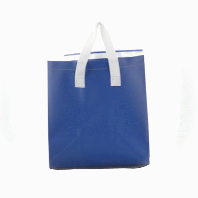 Premium Blue Insulated Takeout Bags - Tamper Evident Food Delivery Bags (10.25