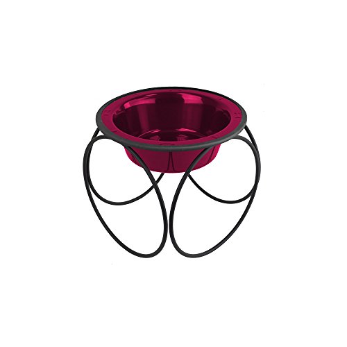Raspberry Pop