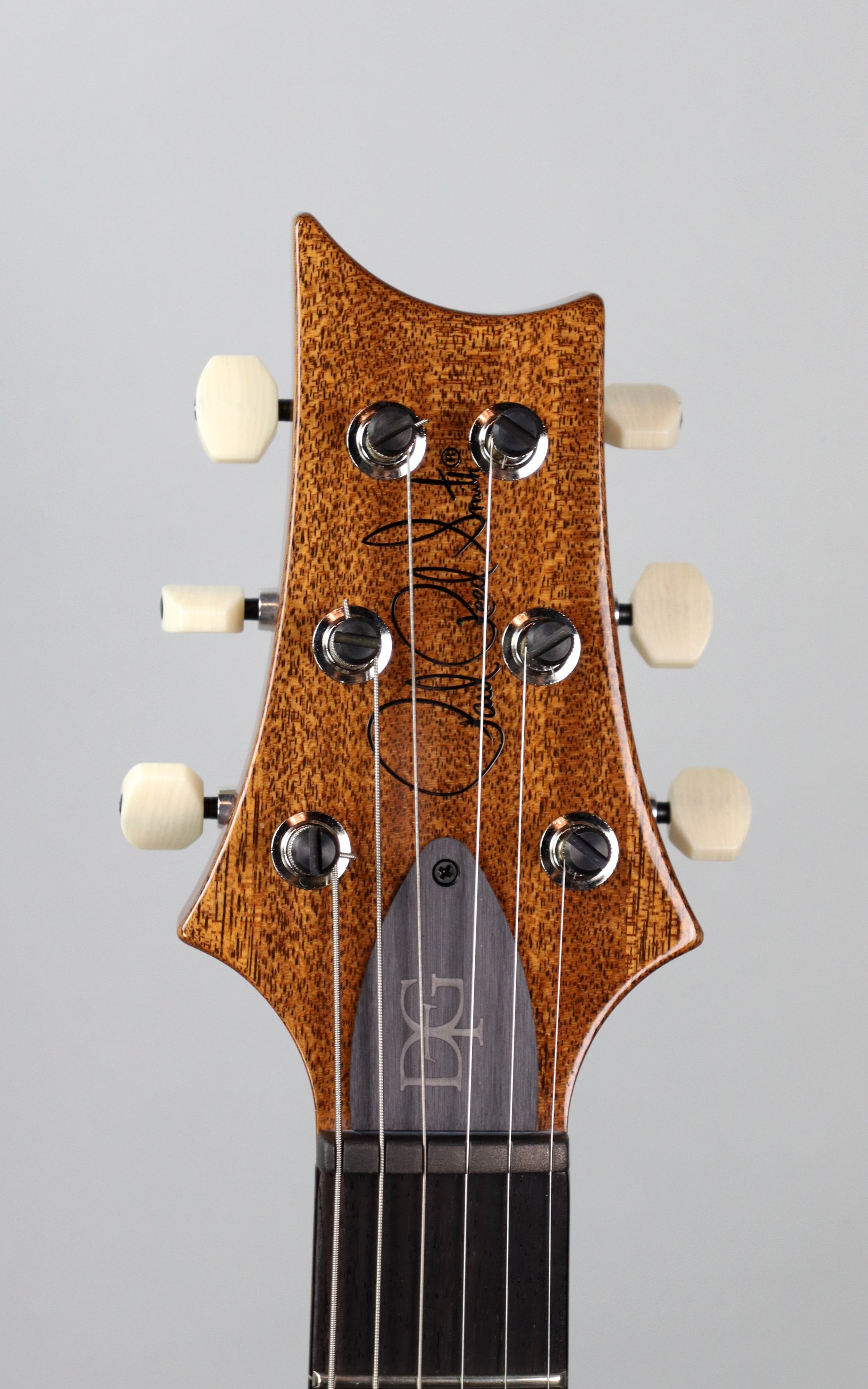 Paul Reed Smith DGT Electric Guitar with Birds Inlays in Faded Blue Jean Finish - Perfect for Rock, Blues, and Stage Performances