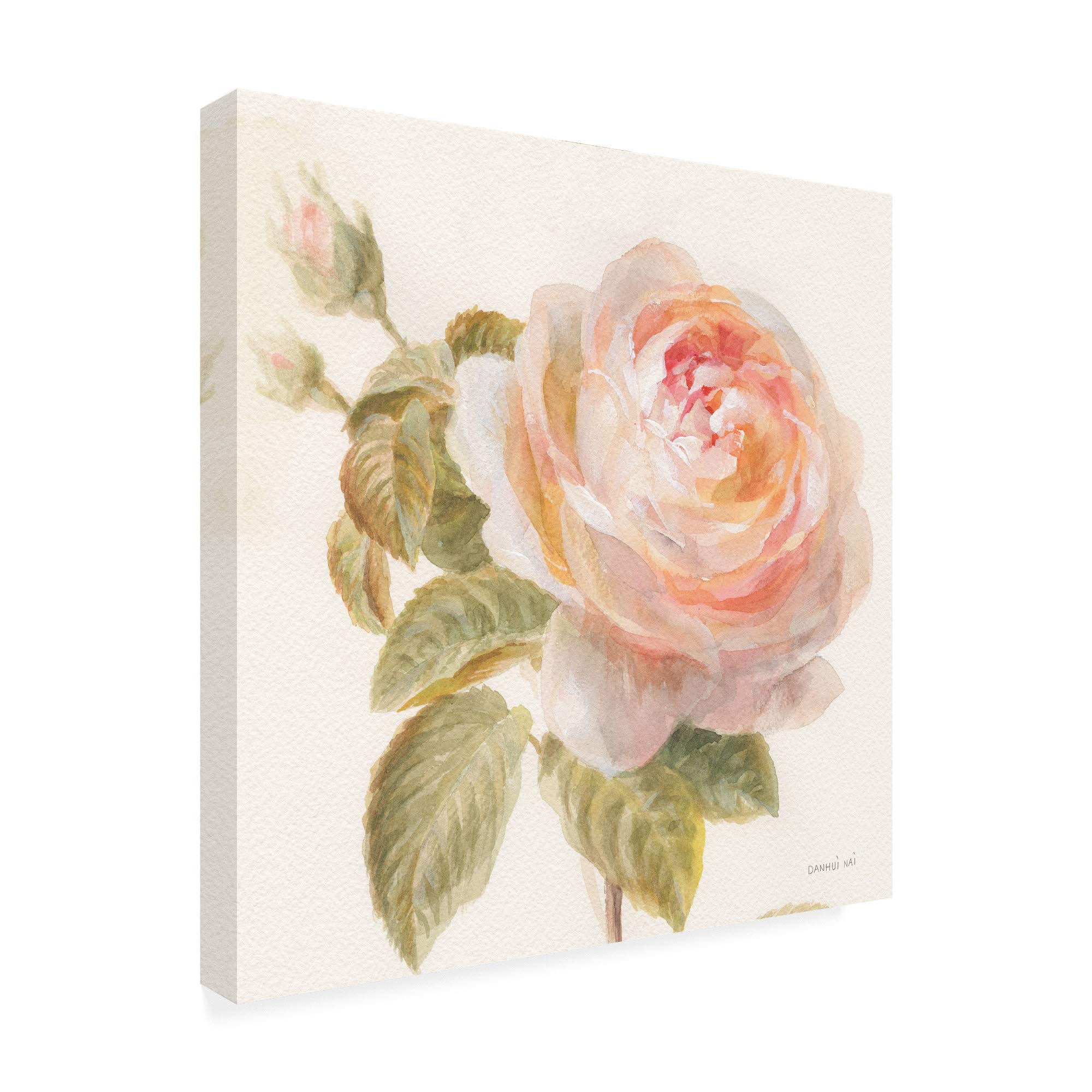 Danhui NAI Garden Rose Painting - 18x18 Inch Floral Wall Art for Home Decor, Living Room, Bedroom & Office | Trademark Fine Art